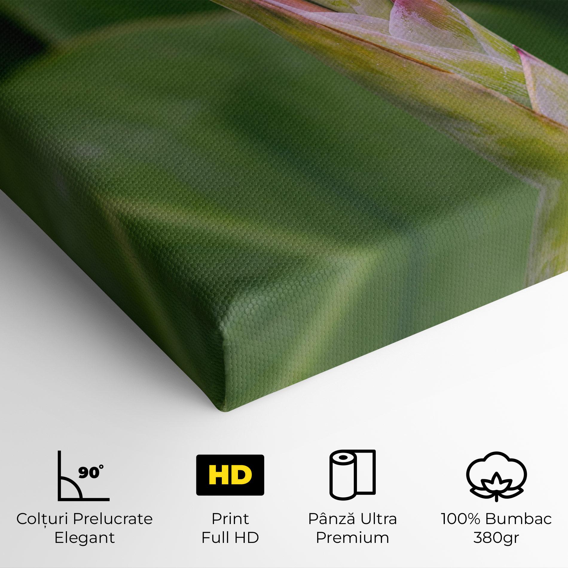 Tablou Canvas Light Pink Exotic mockup 4