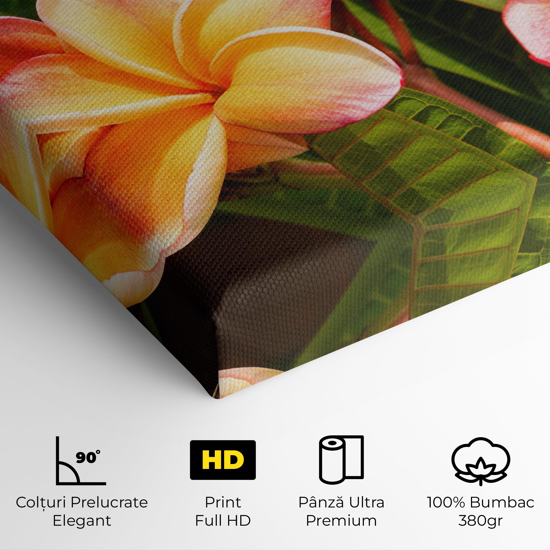 Tablou Canvas Pretty Plumeria mockup 4