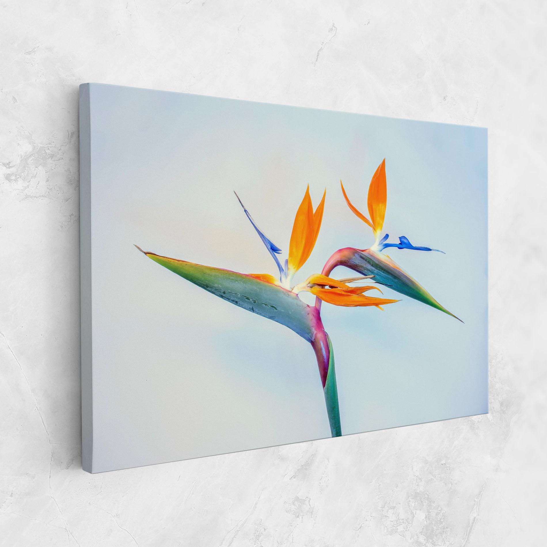 Tablou Canvas Green Orange Exotic mockup 1