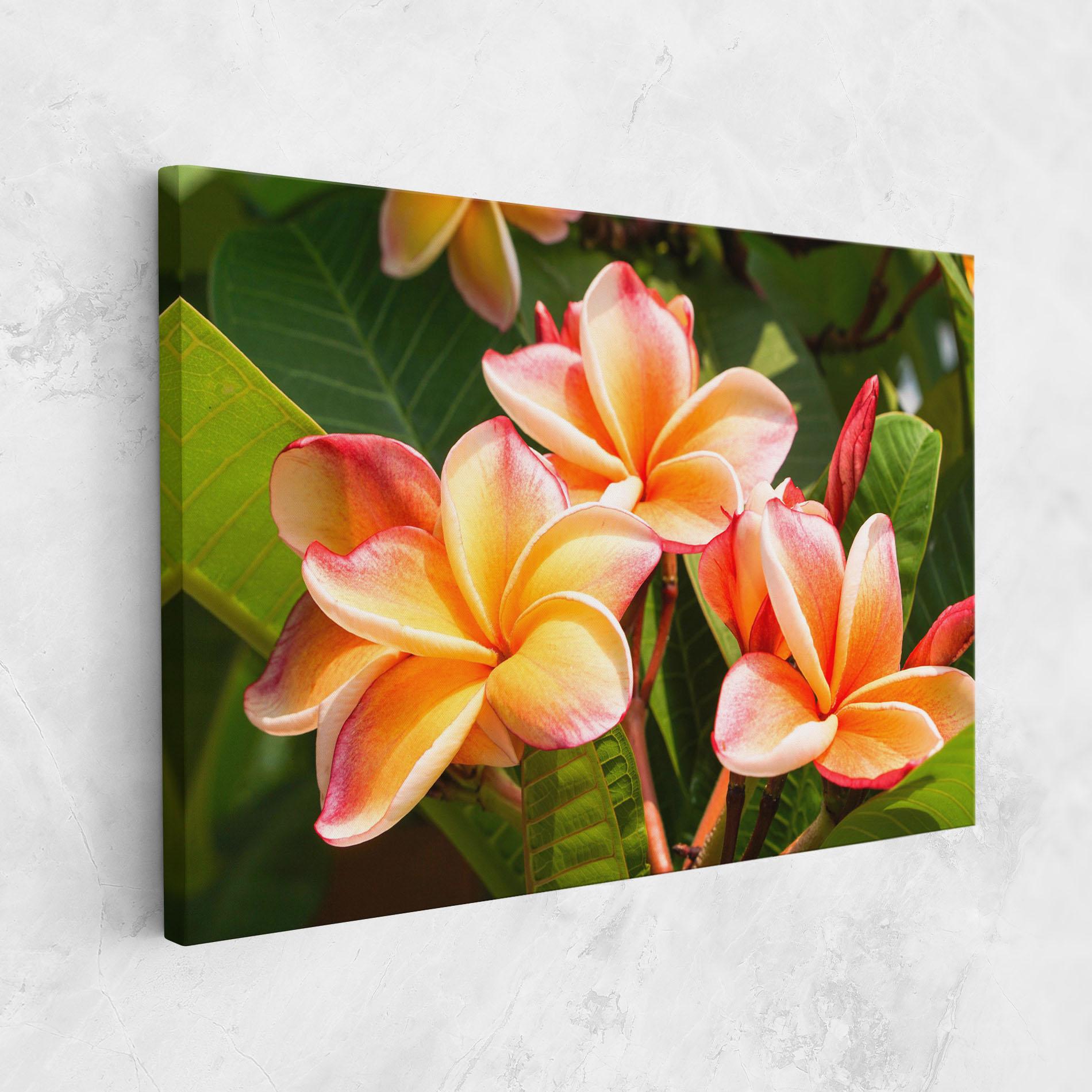 Tablou Canvas Pretty Plumeria mockup 1