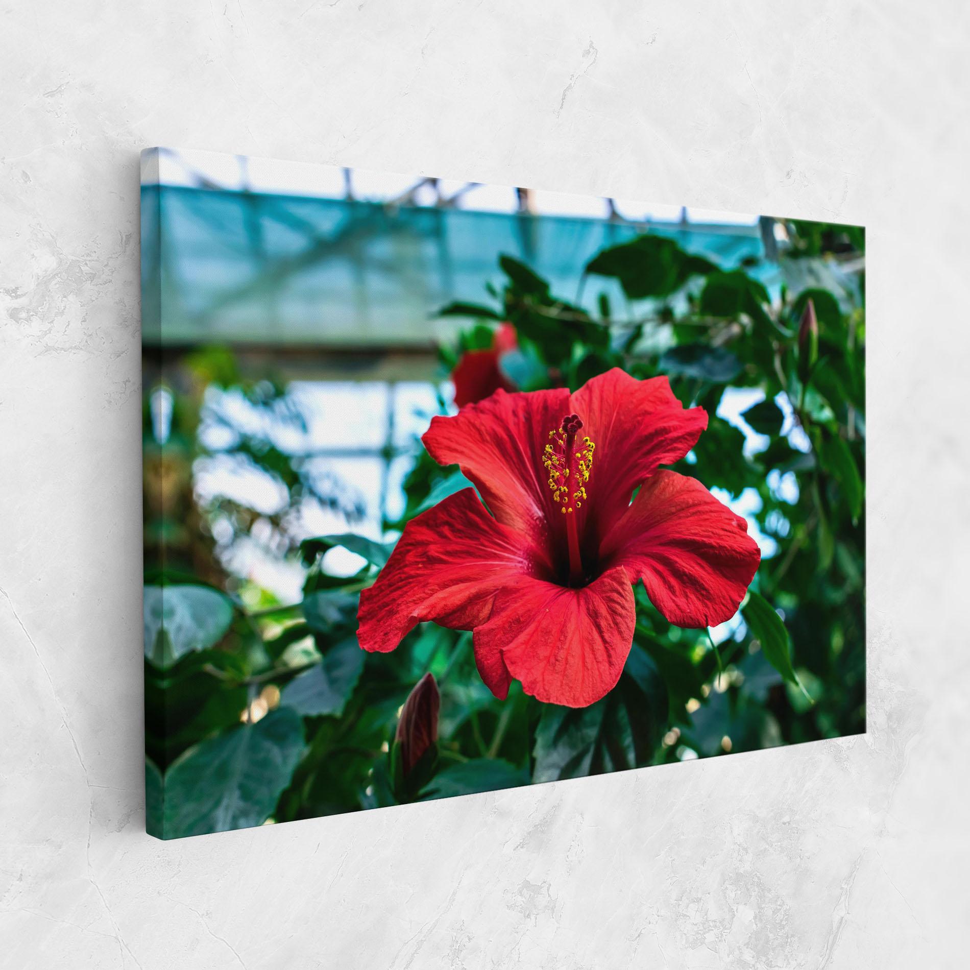 Tablou Canvas Red Exotic Plant mockup 1