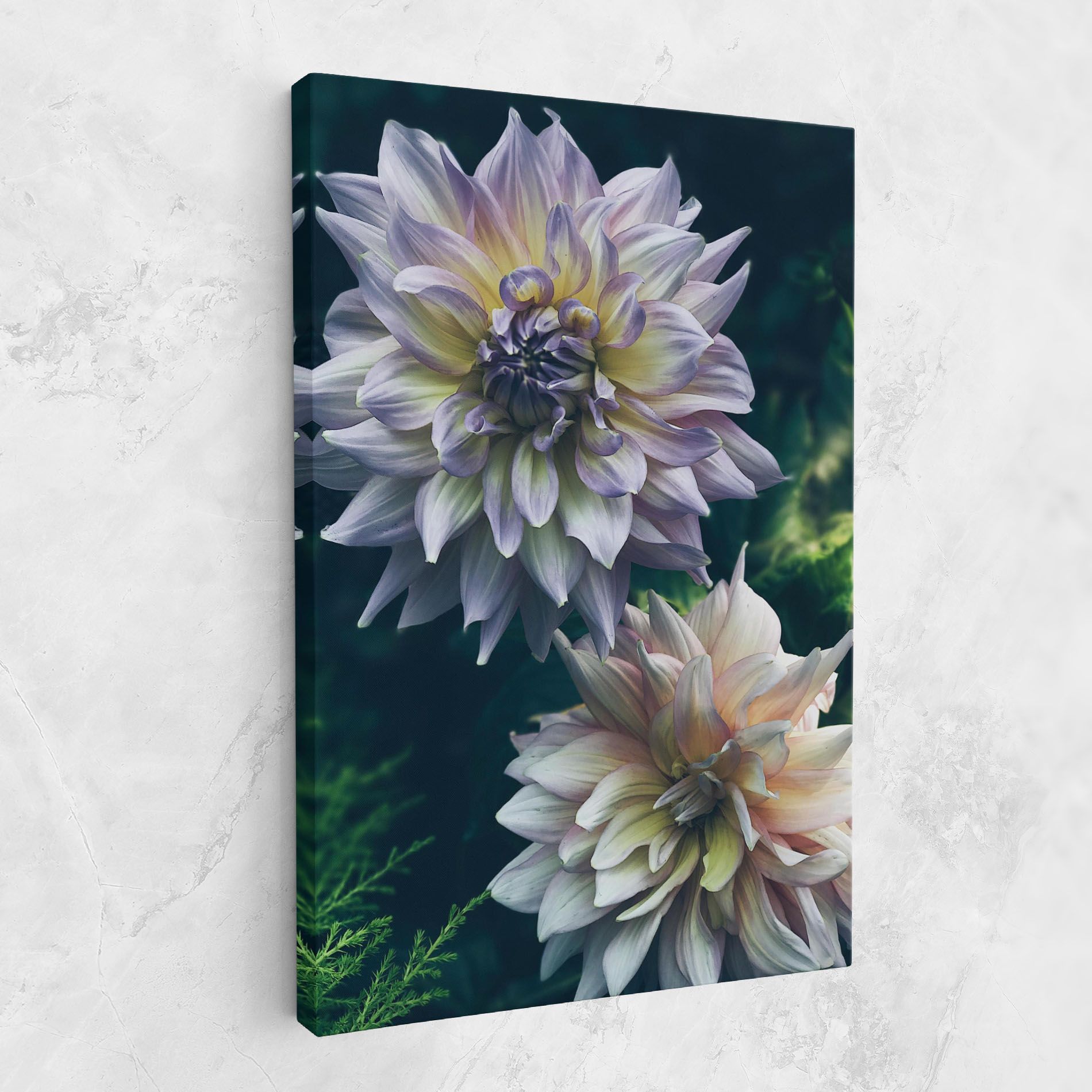 Dahlia Flowers mockup 1