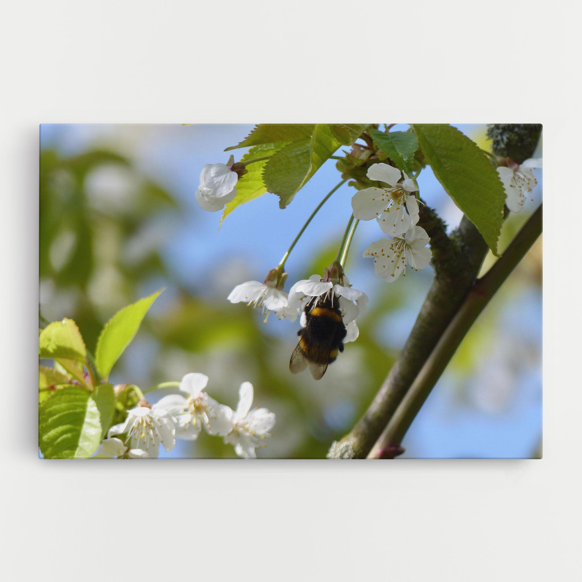 Bee Wild Tree mockup 0