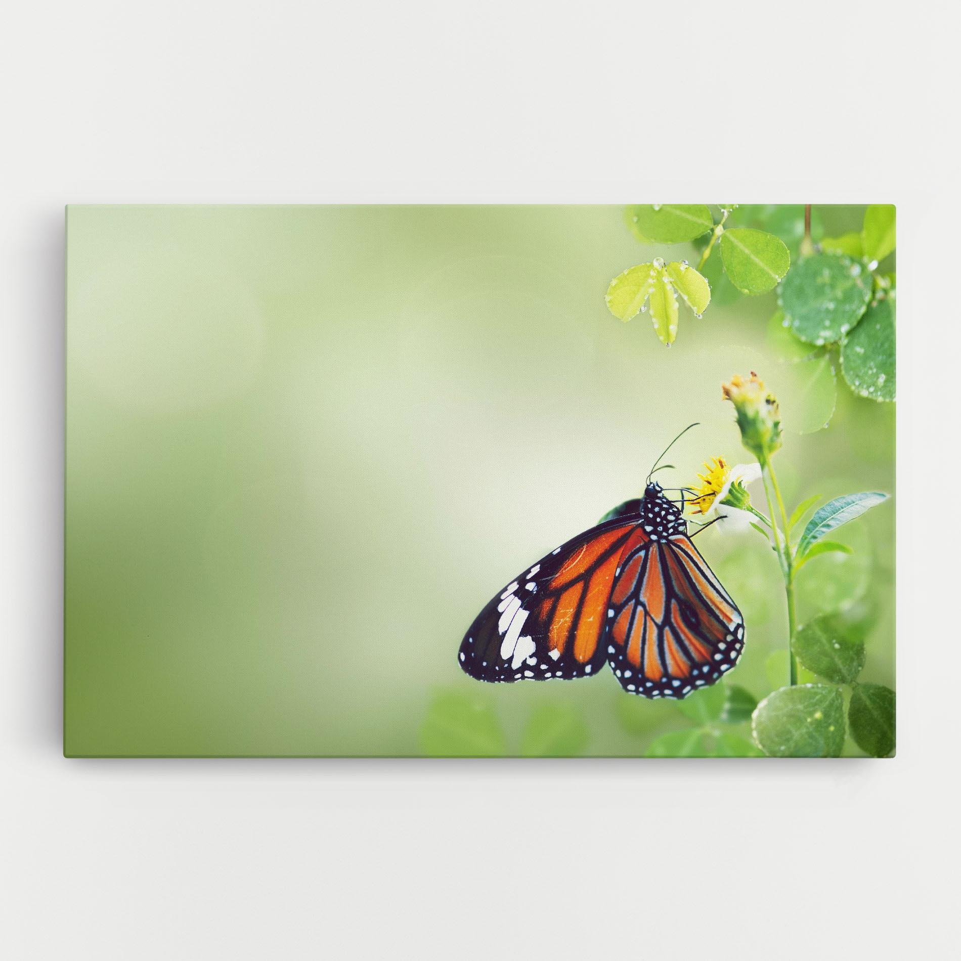 Tablou Canvas Butterfly Wild Plant mockup 0
