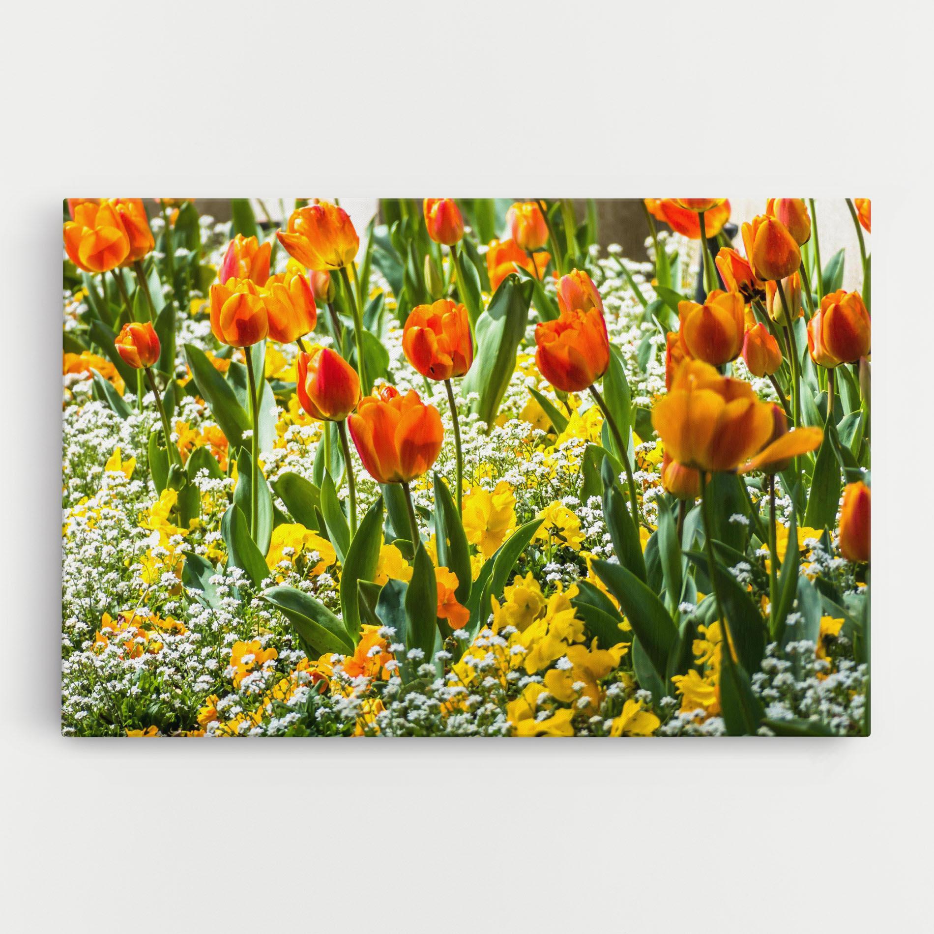 Tablou Canvas Colorful Tulips Garden mockup 0