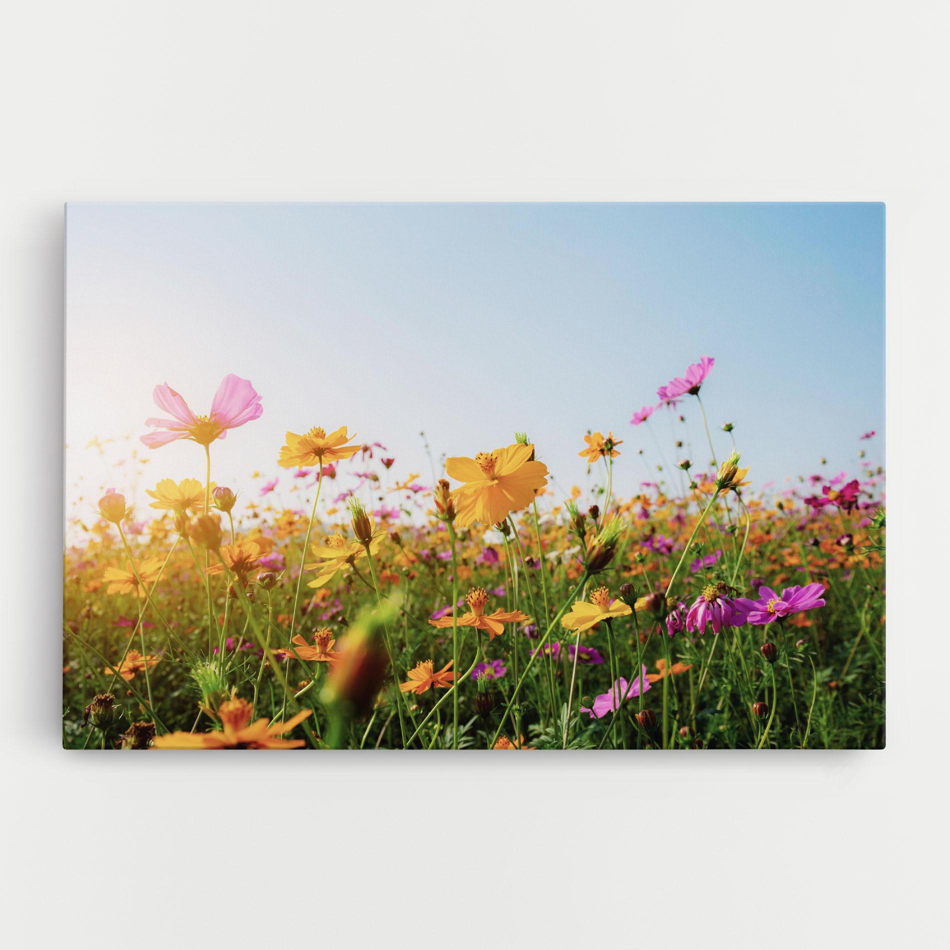 Tablou Canvas Cosmos Field Sunset mockup 0