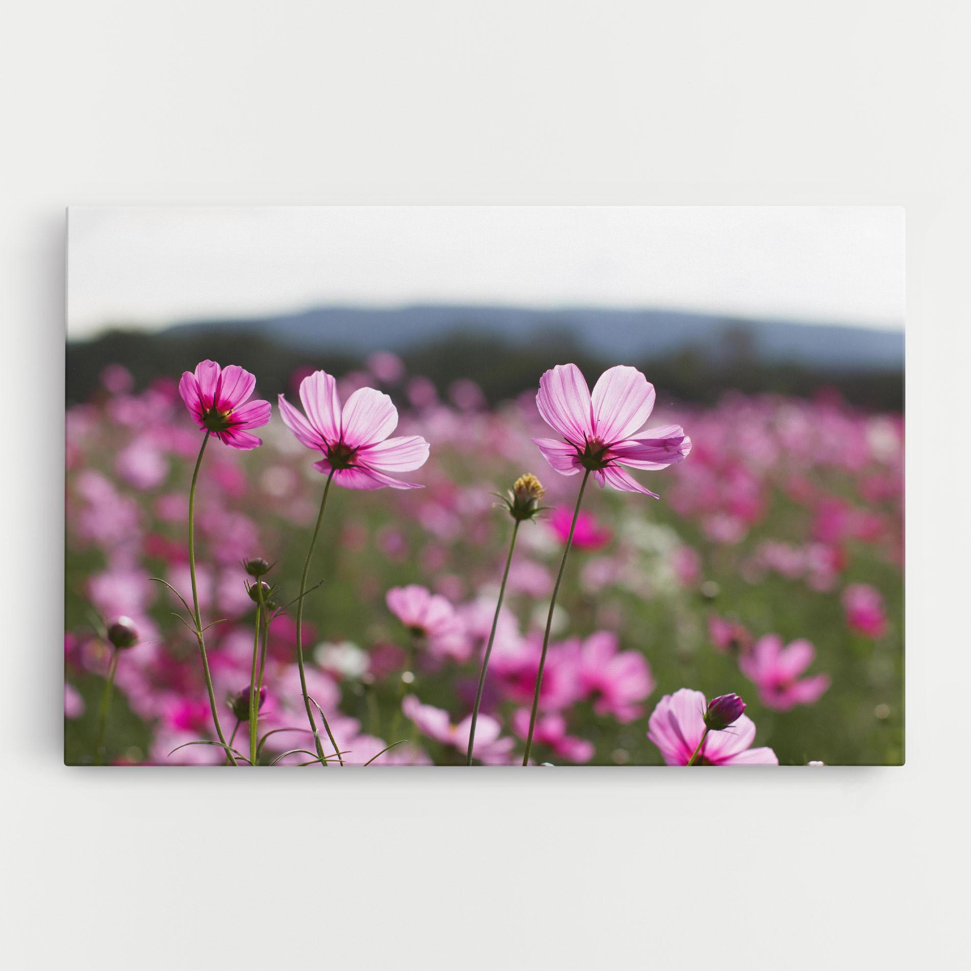 Tablou Canvas Cosmos Flower mockup 0