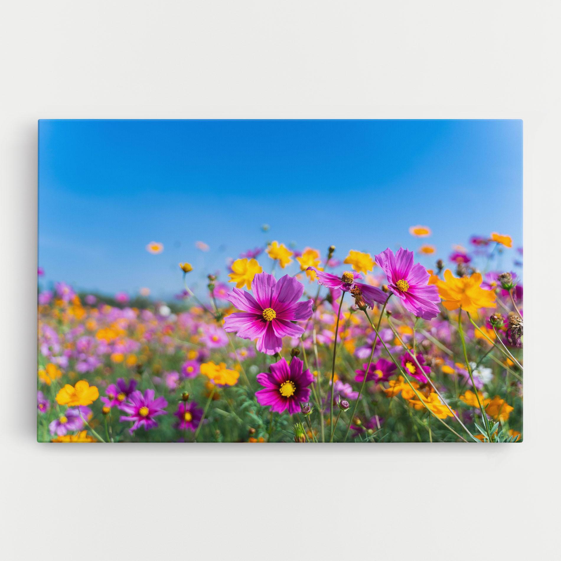 Tablou Canvas Cosmos Flowers Grassland mockup 0