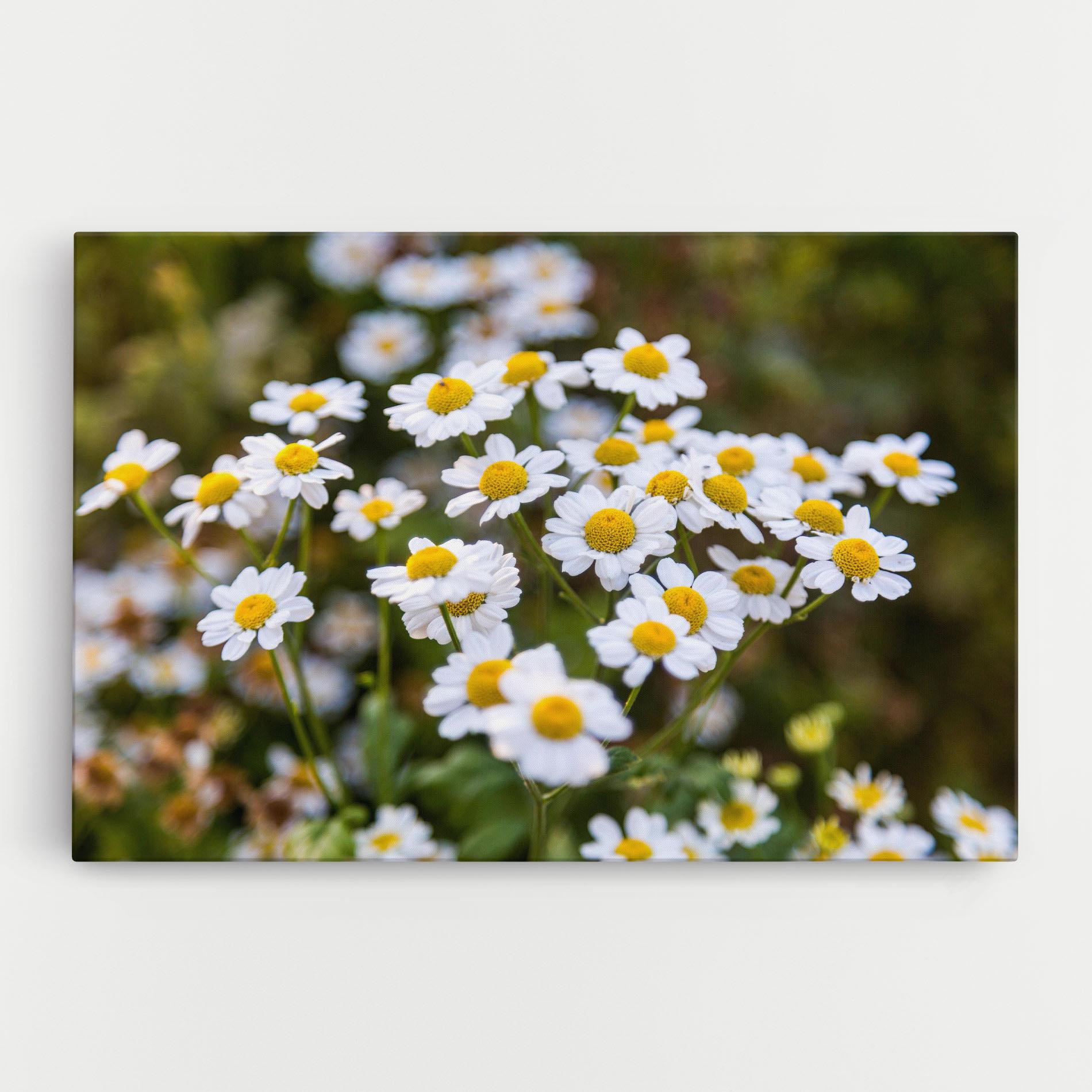 Tablou Canvas Flowers Garden mockup 0