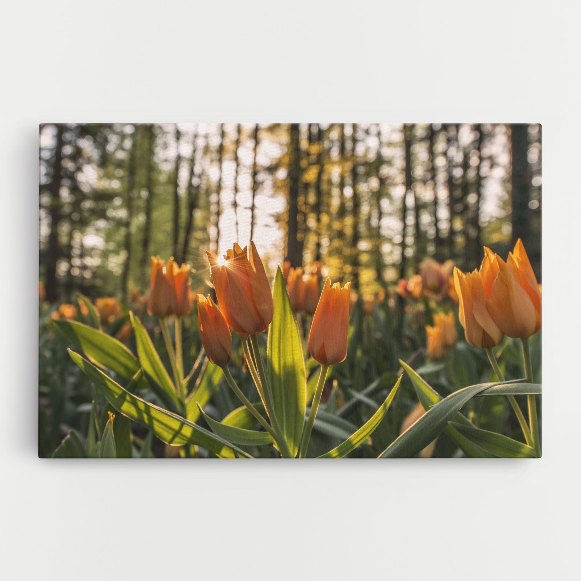 Forest Tulips mockup 0