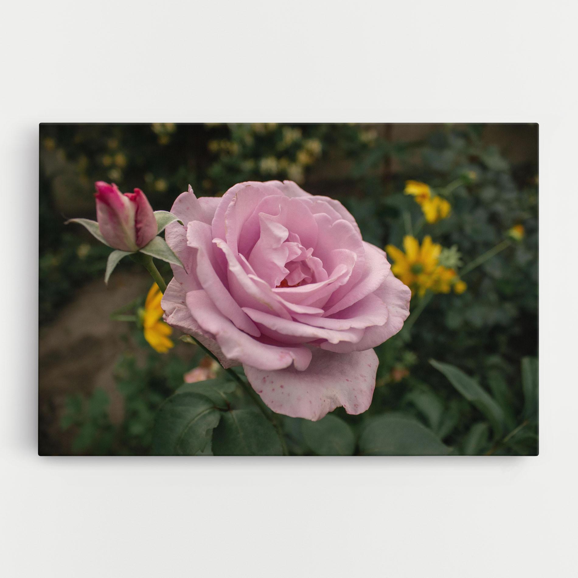 Tablou Canvas Garden Pink Rose mockup 0