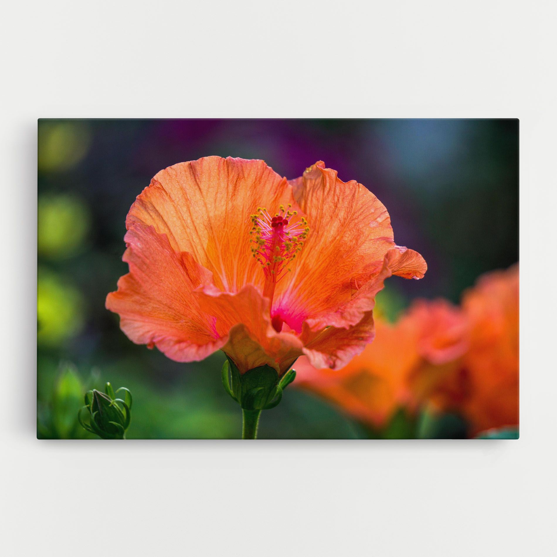 Orange Wild Flower mockup 0