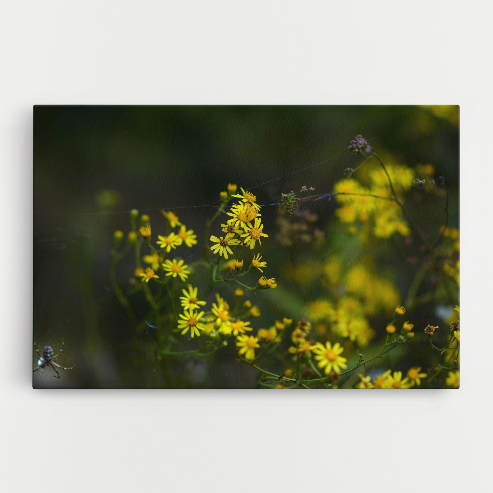 Small Wild Flowers mockup 0