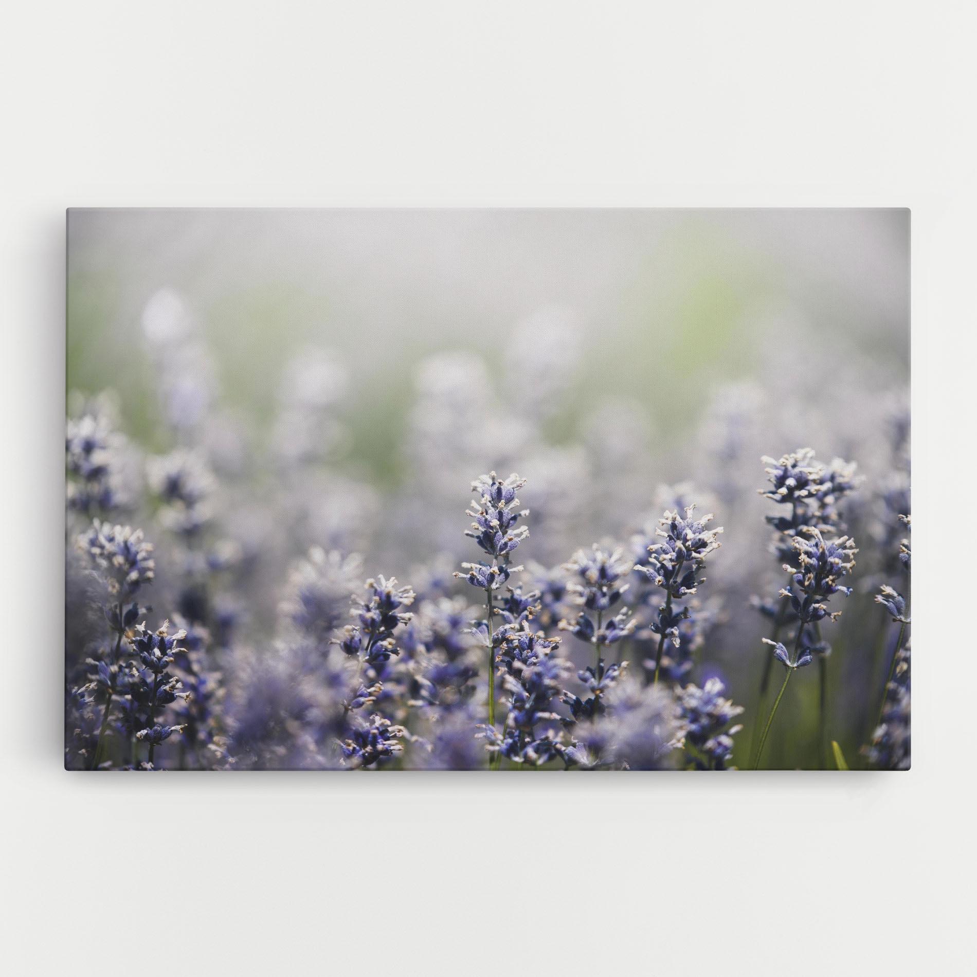 Tablou Canvas White Purple Wild mockup 0