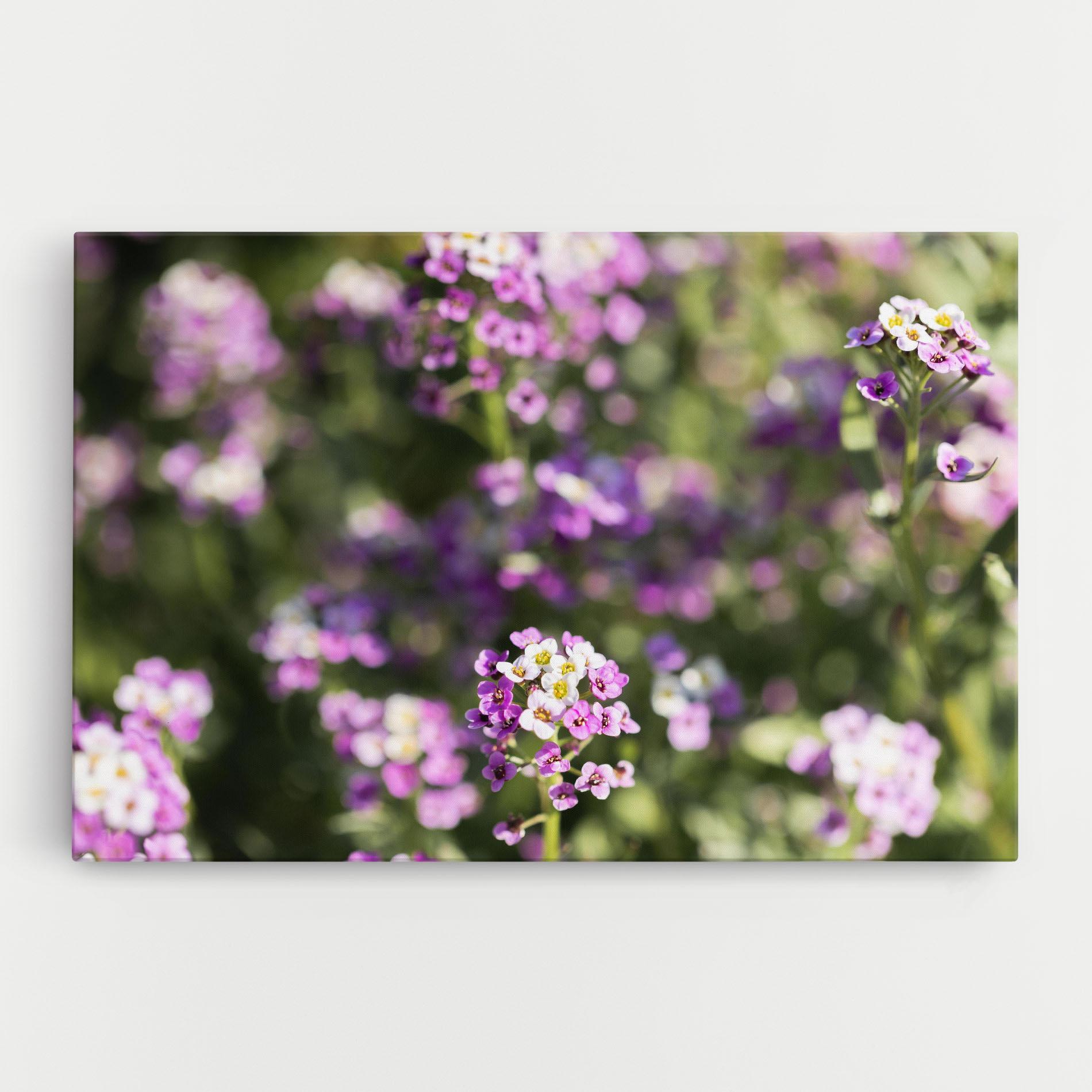 Tablou Canvas Wild Purple Field mockup 0