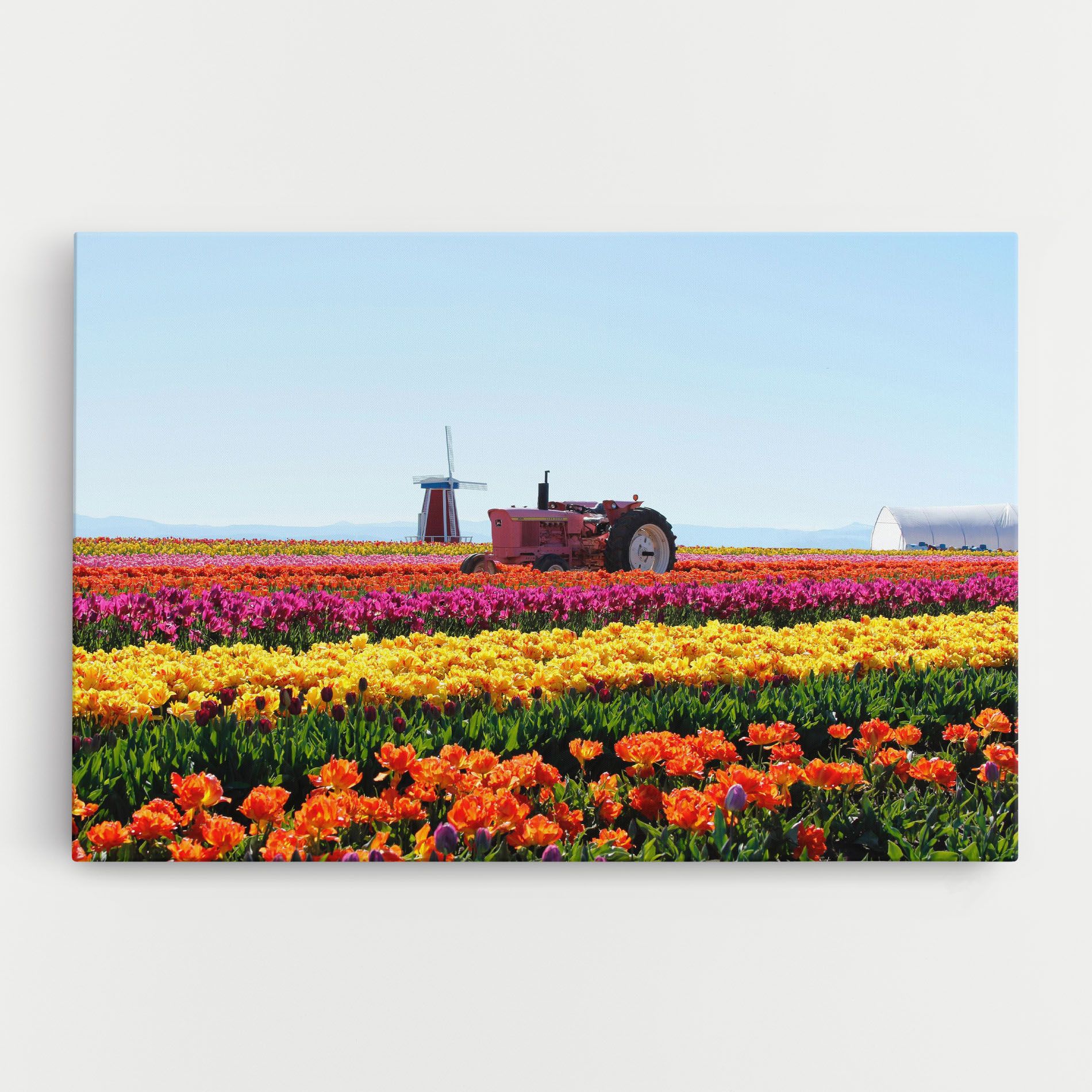 Working Wild Field mockup 0