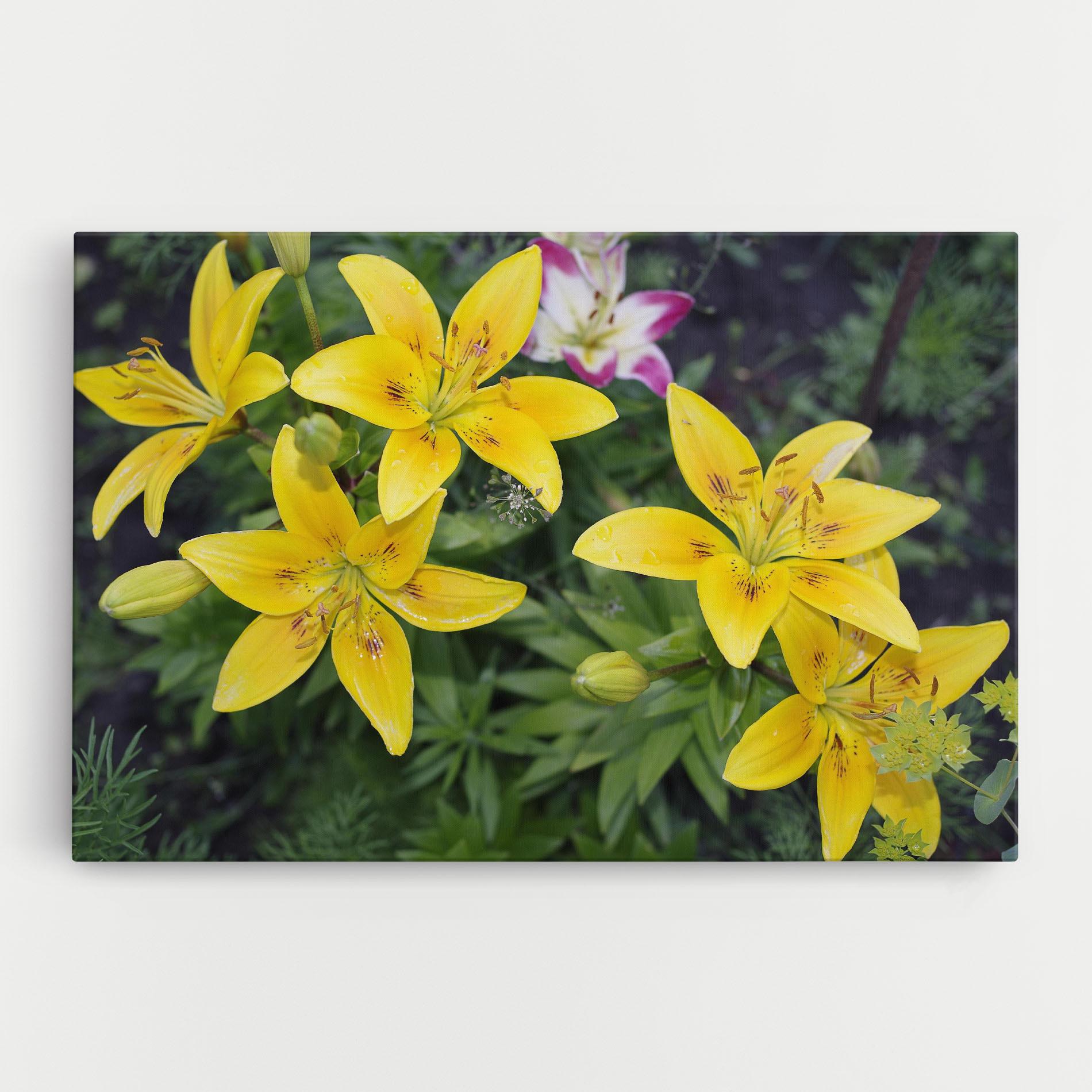 Tablou Canvas Yellow Flowers mockup 0