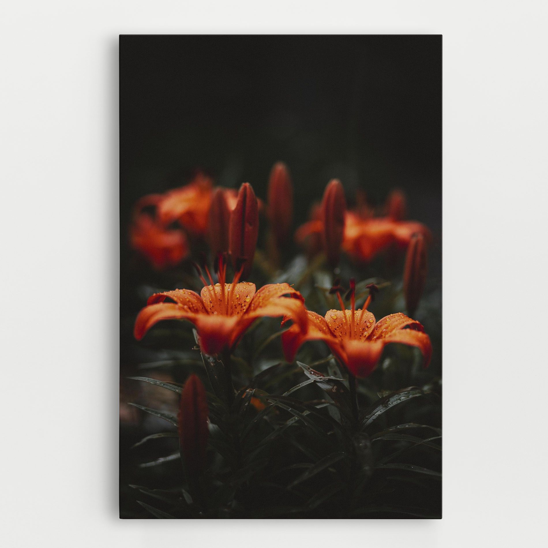 Dreamy Wild Flower mockup 0