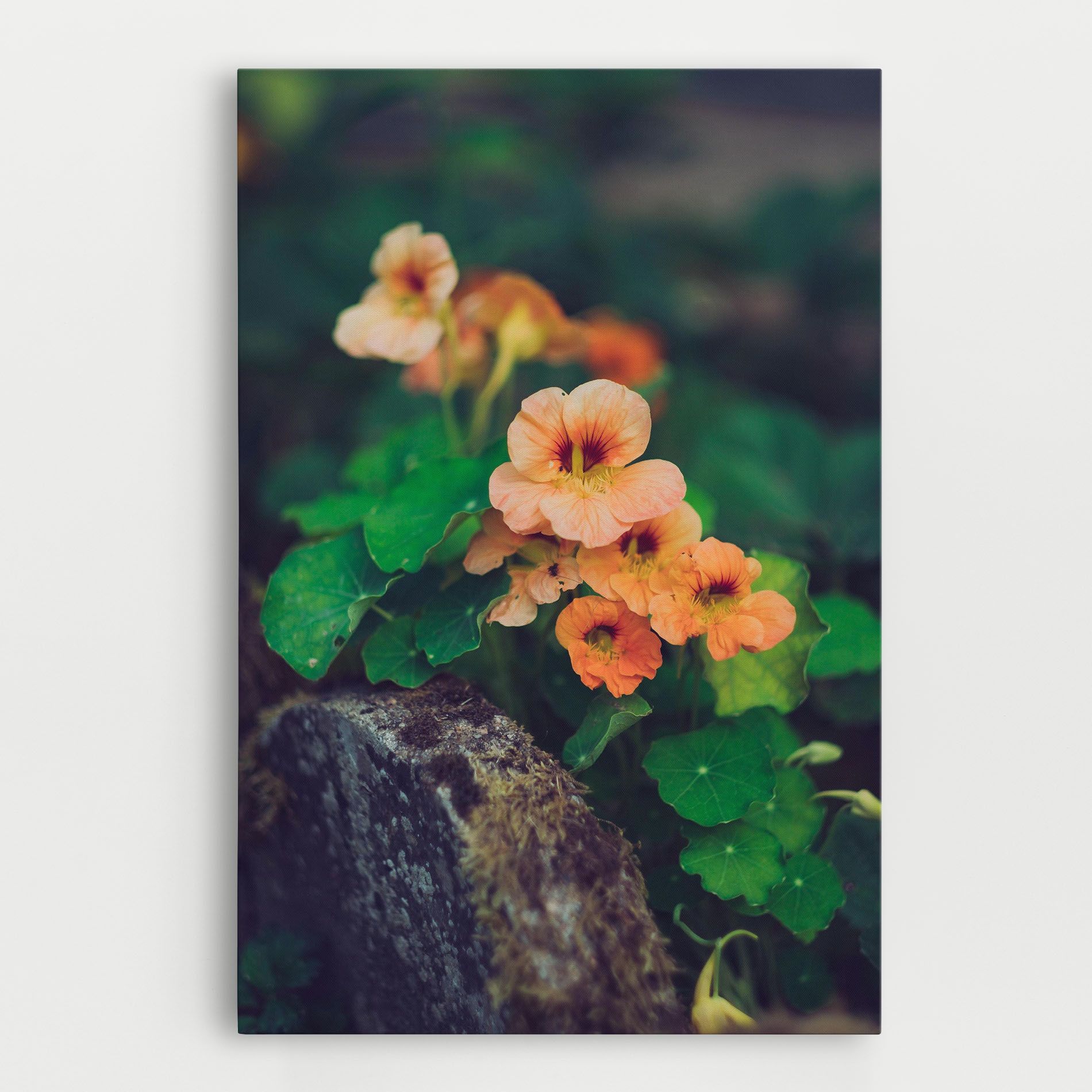Small Pink Flowers mockup 0