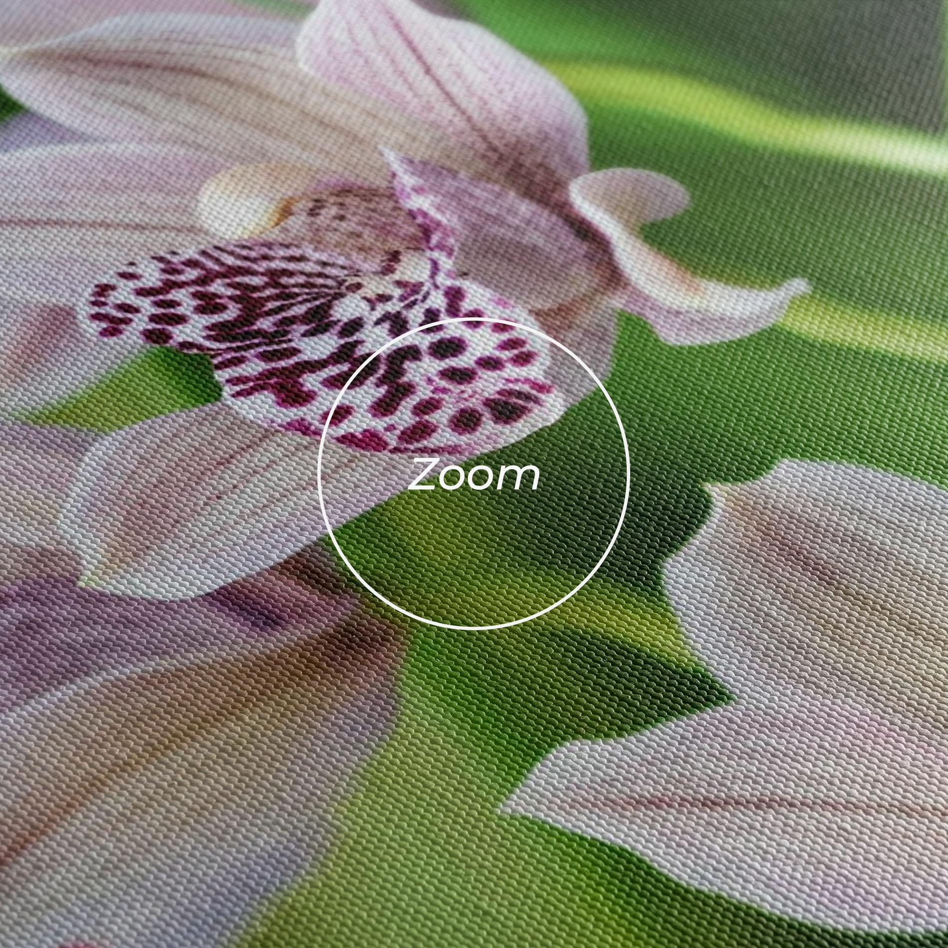 Tablou Canvas Cymbidium Orchid mockup 3