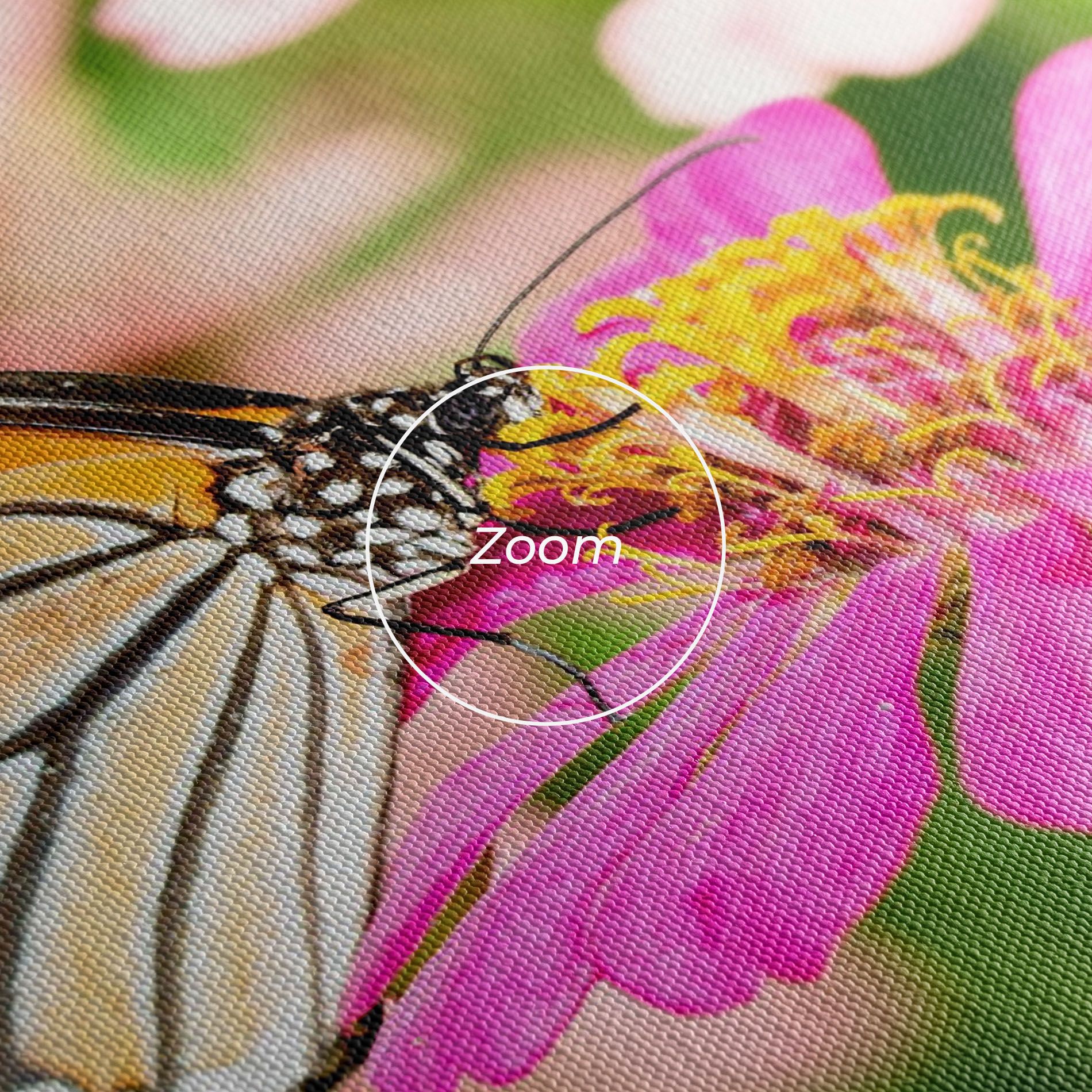 Daylight Butterfly mockup 3