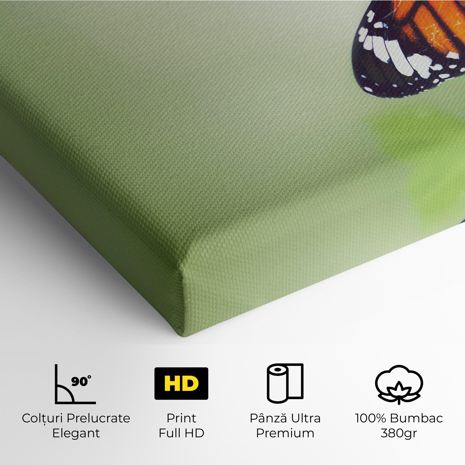 Butterfly Wild Plant mockup 4