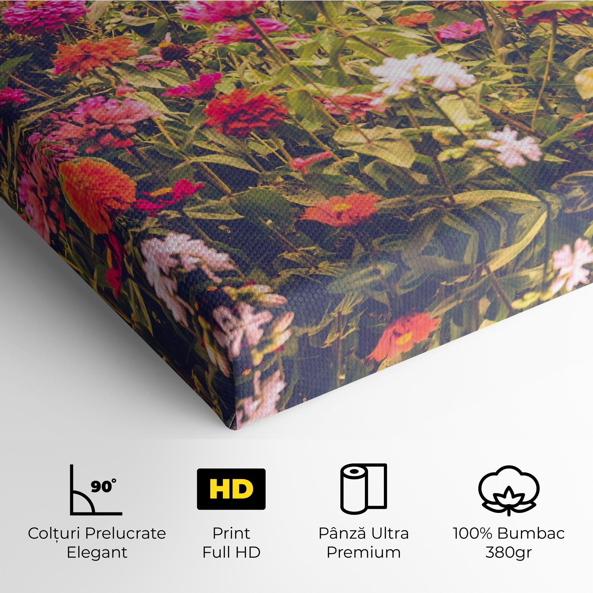 Colorful Wild Field mockup 4