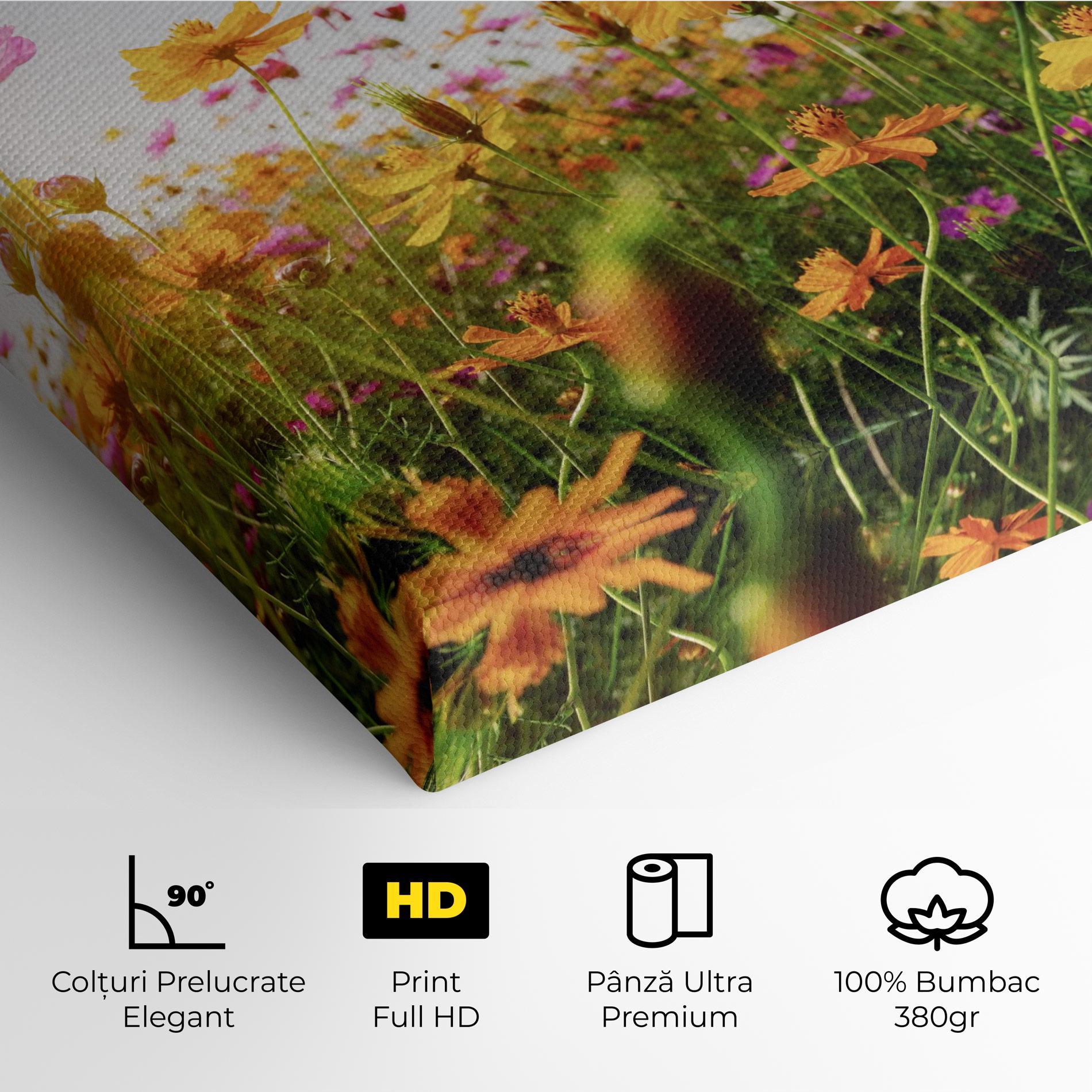 Tablou Canvas Cosmos Field Sunset mockup 4