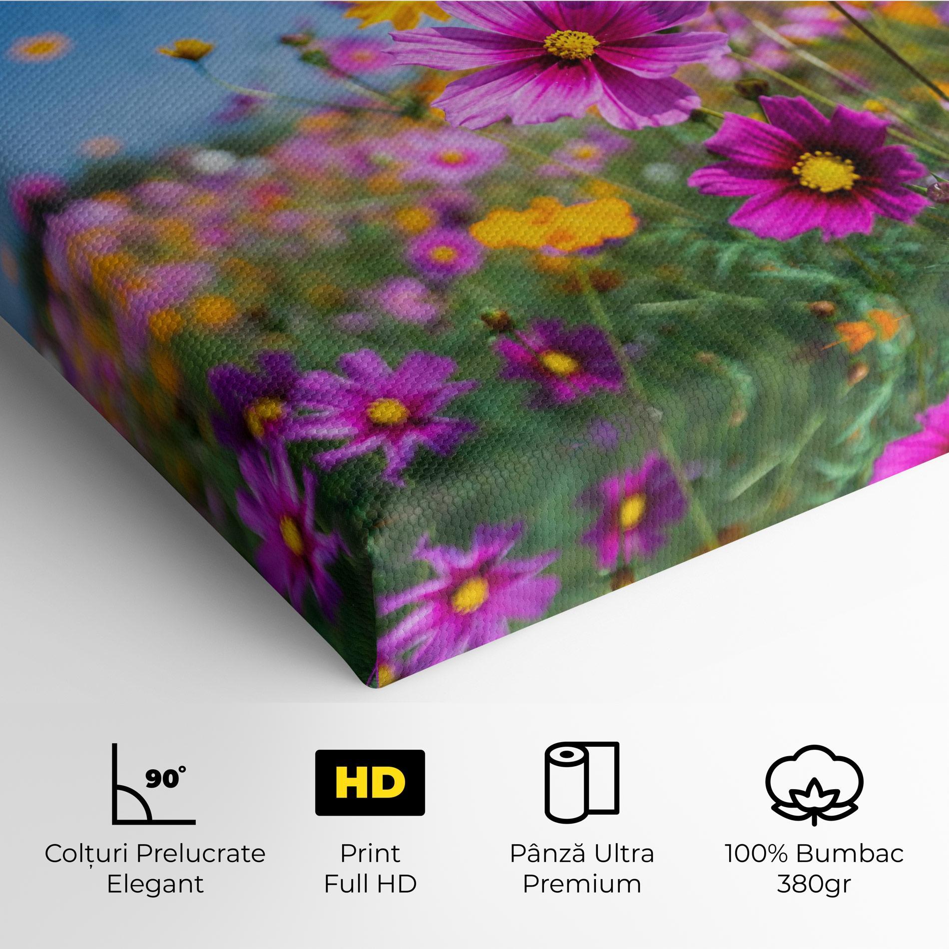 Tablou Canvas Cosmos Flowers Grassland mockup 4