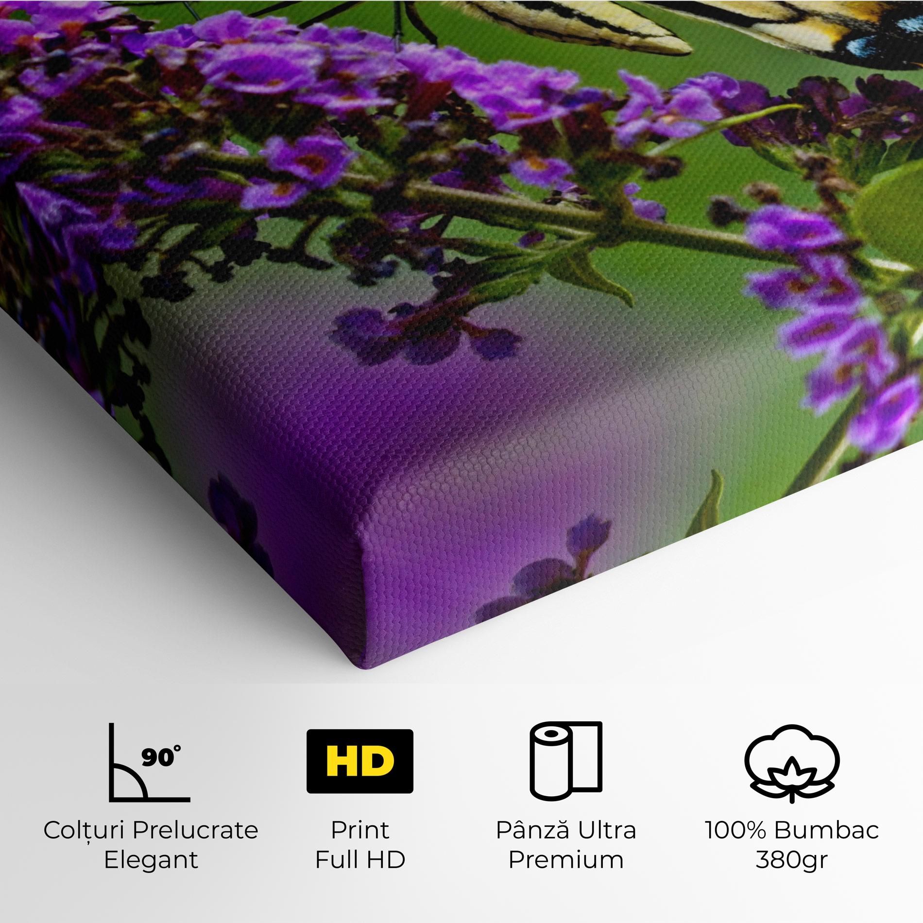 Cream Wild Butterfly mockup 4