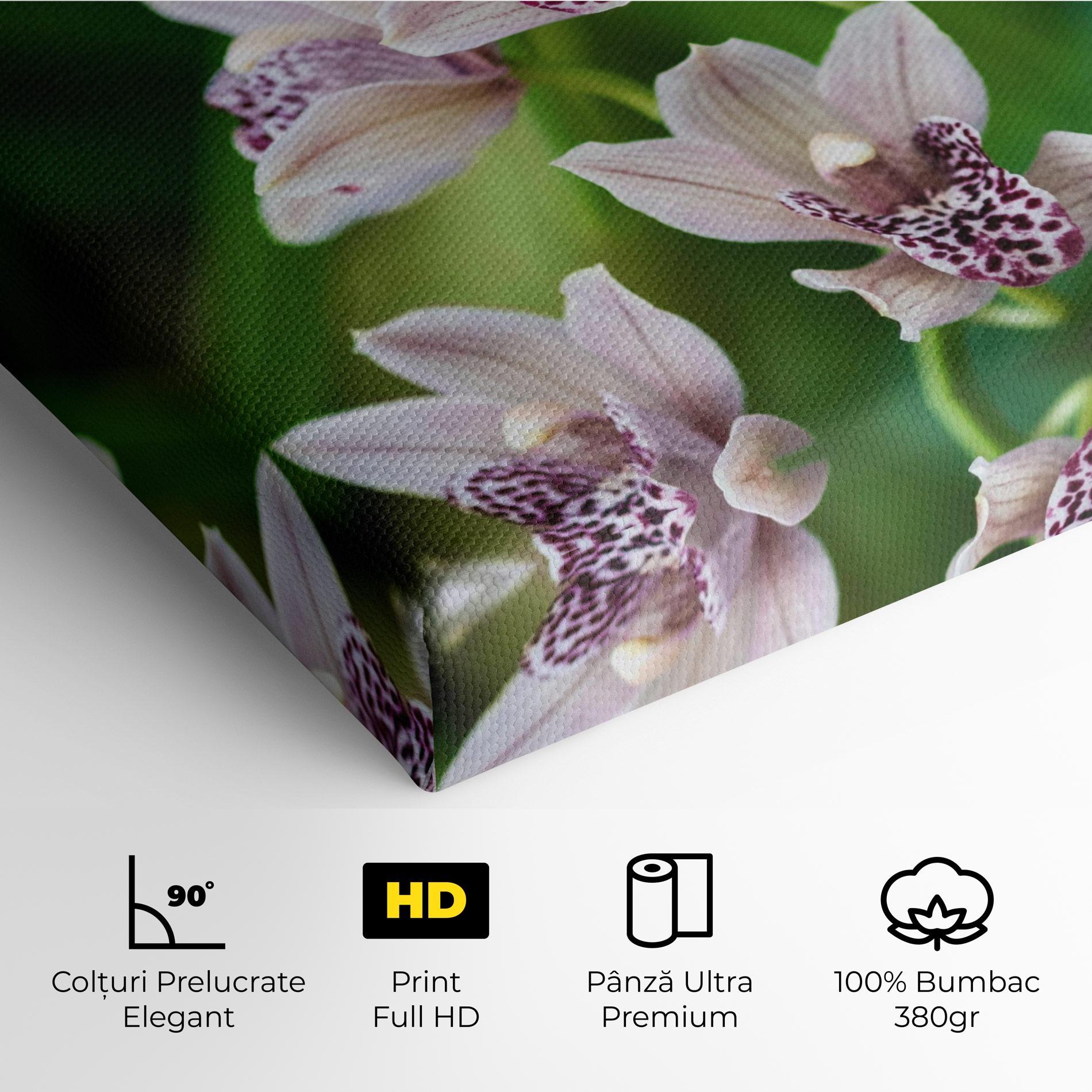 Tablou Canvas Cymbidium Orchid mockup 4