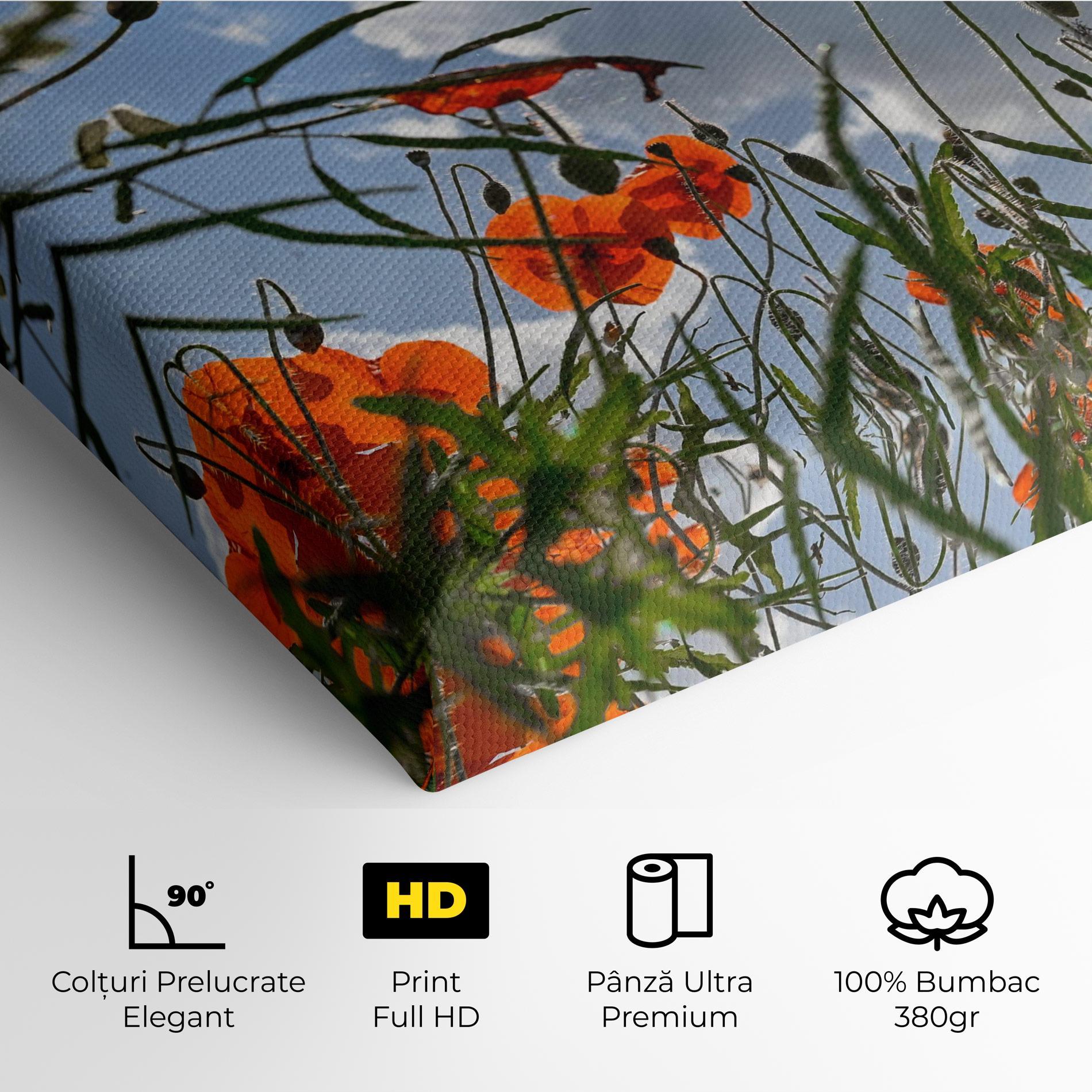 Tablou Canvas Wild Poppy Daylight mockup 4