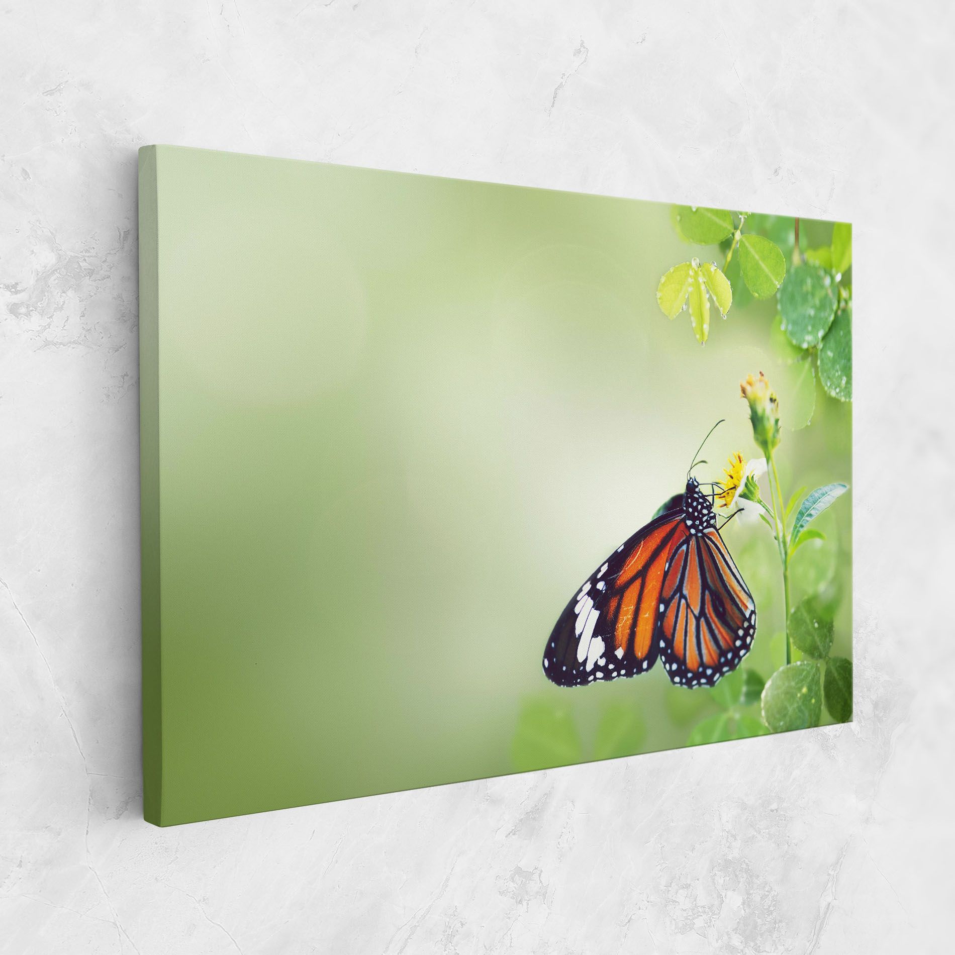 Butterfly Wild Plant mockup 1