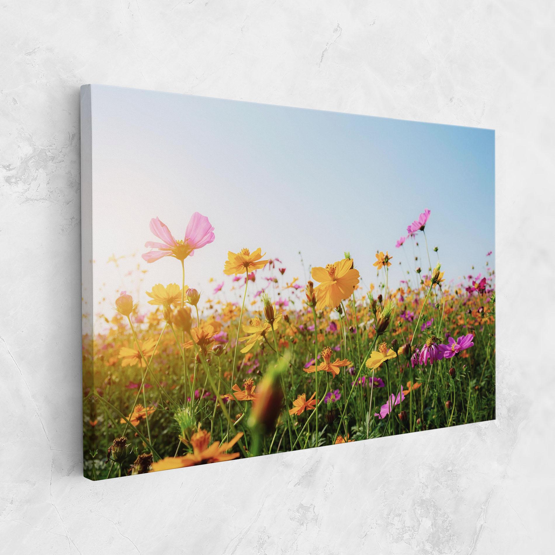 Tablou Canvas Cosmos Field Sunset mockup 1