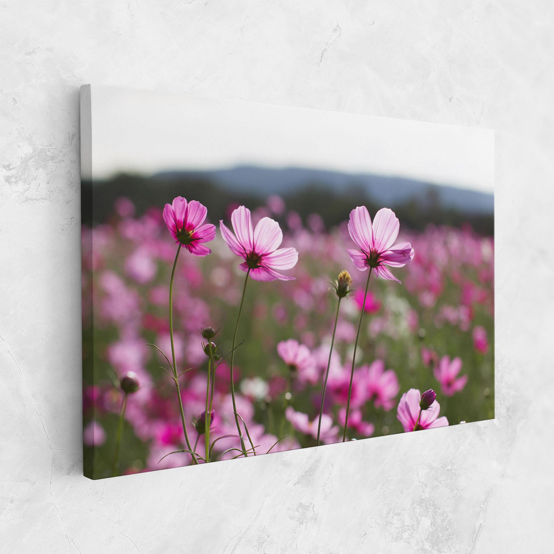 Tablou Canvas Cosmos Flower mockup 1