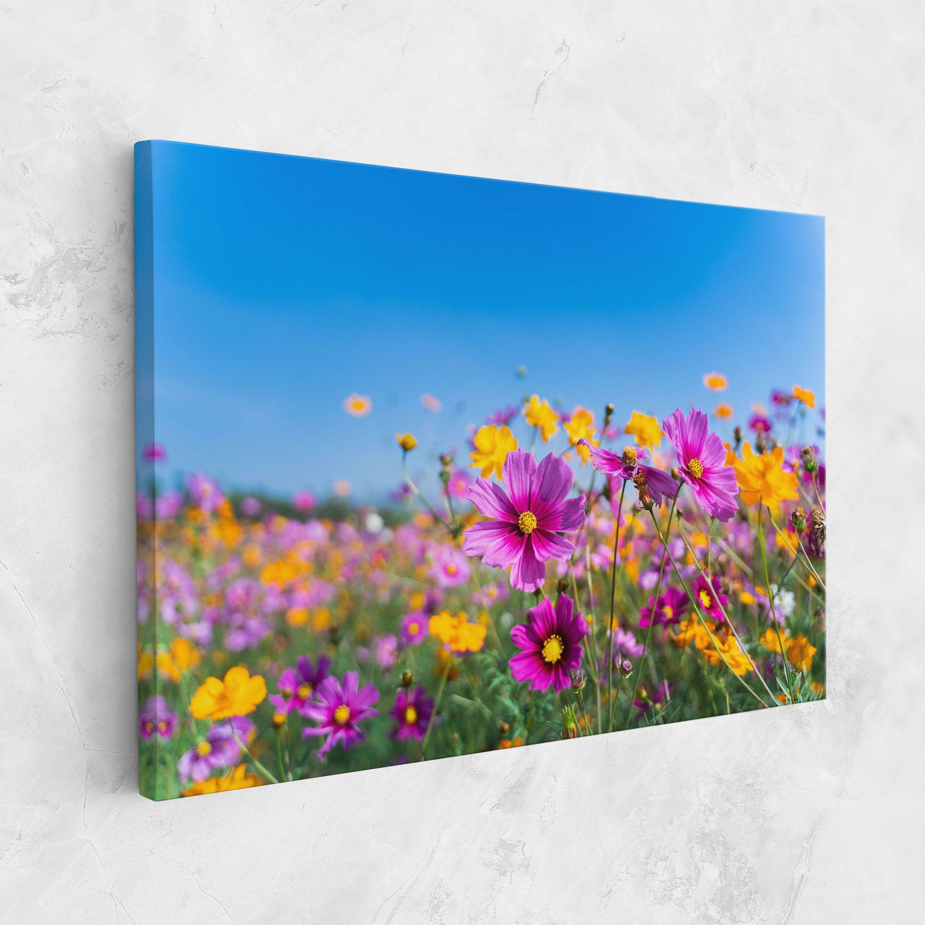 Tablou Canvas Cosmos Flowers Grassland mockup 1