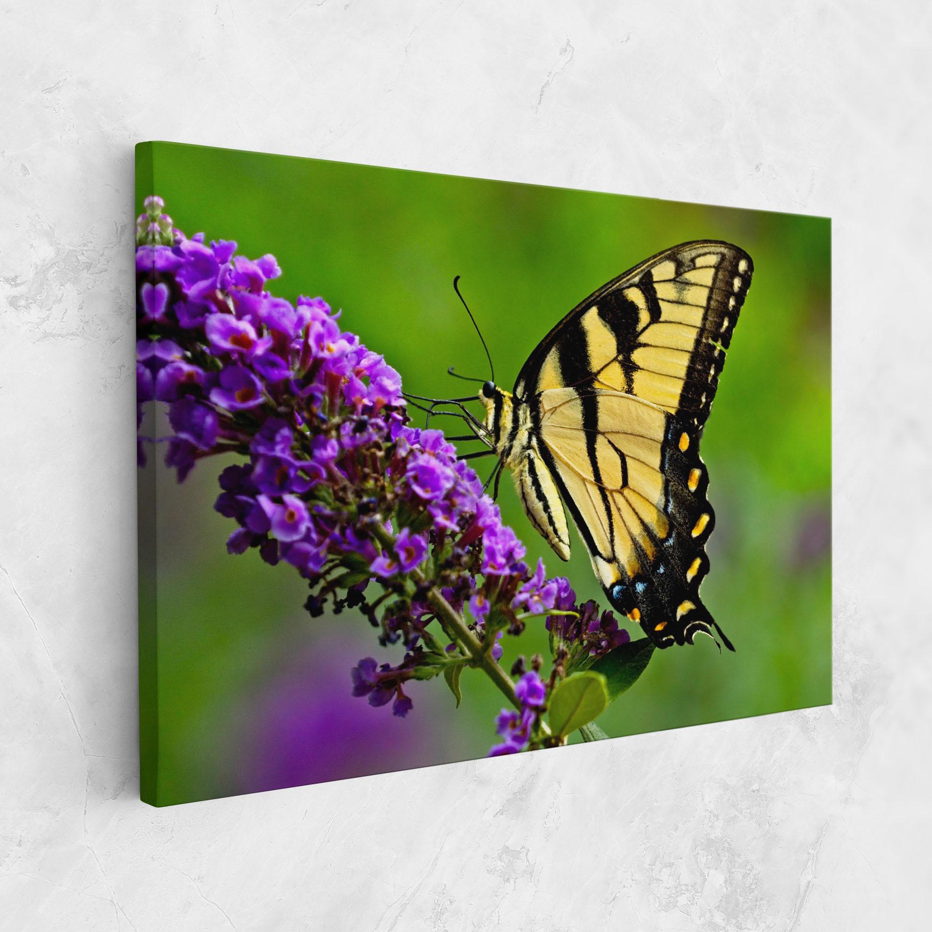 Tablou Canvas Cream Wild Butterfly mockup 1