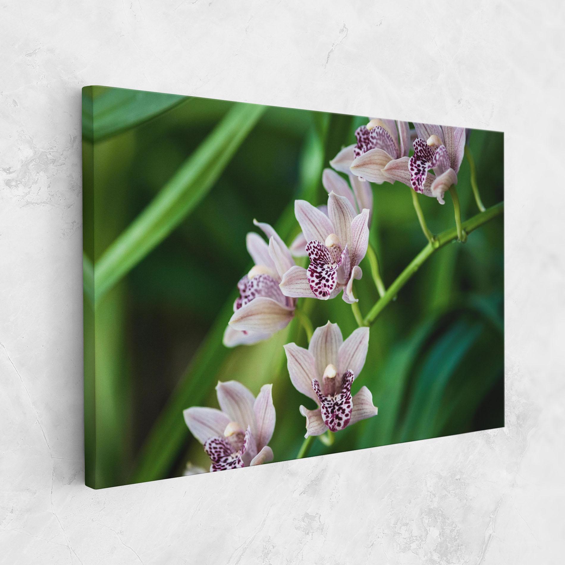 Tablou Canvas Cymbidium Orchid mockup 1