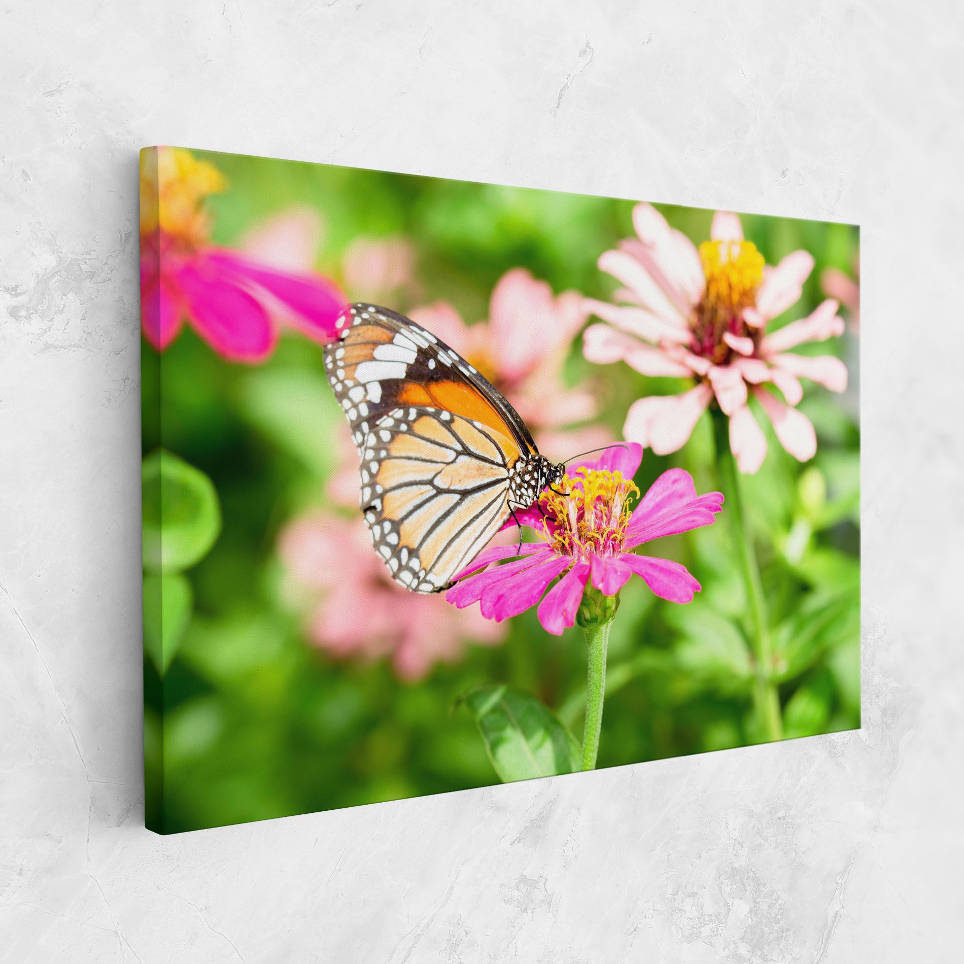 Daylight Butterfly mockup 1