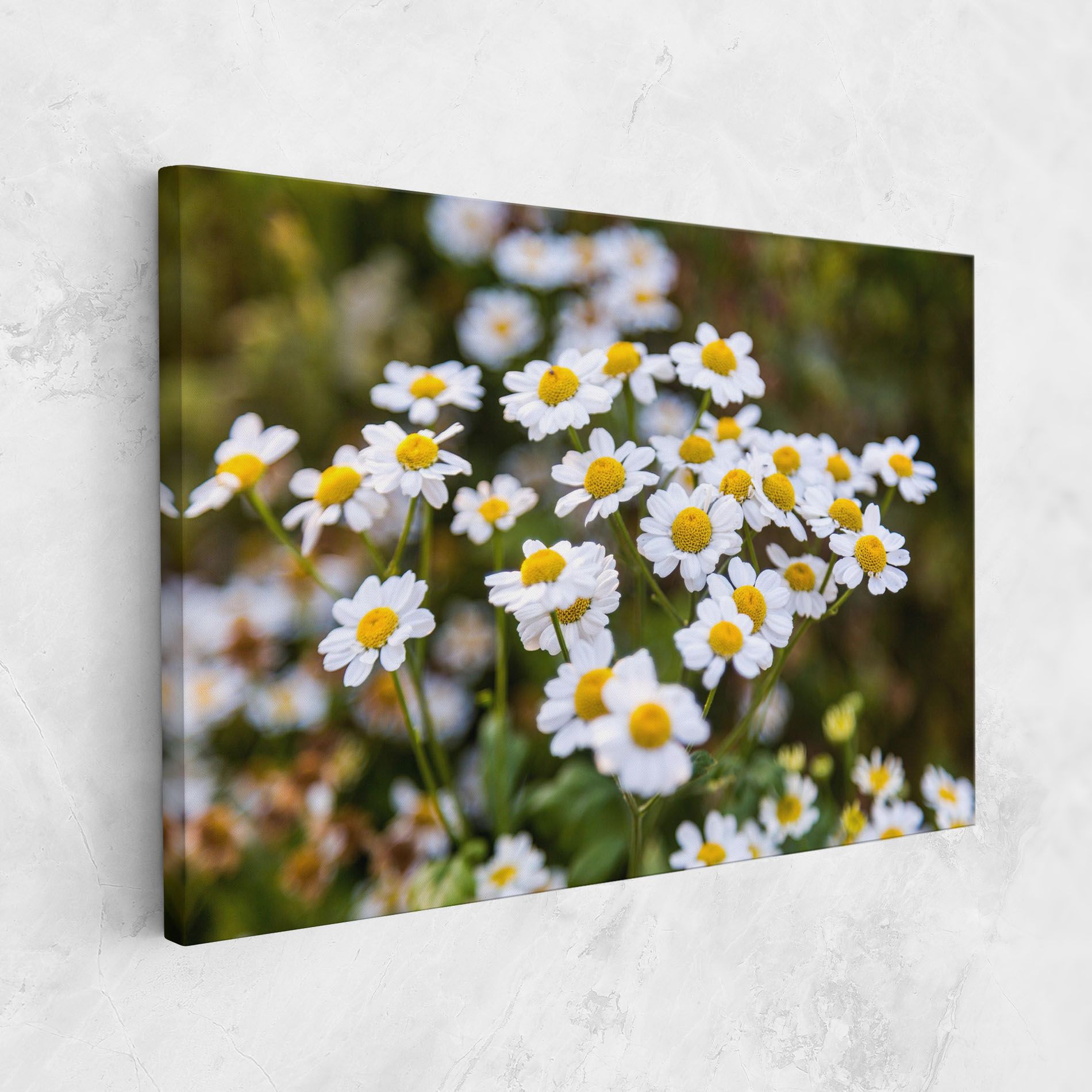 Flowers Garden mockup 1