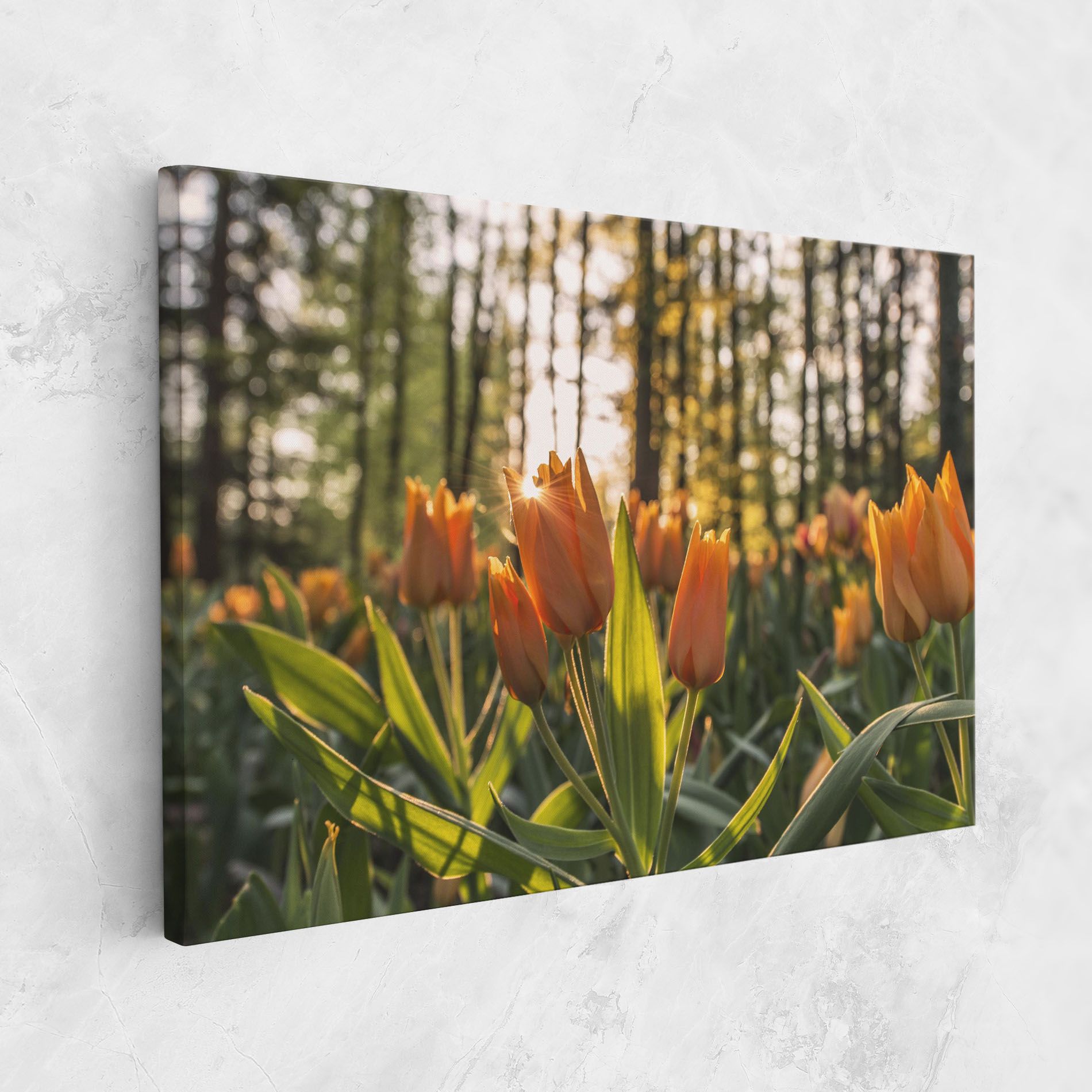 Forest Tulips mockup 1