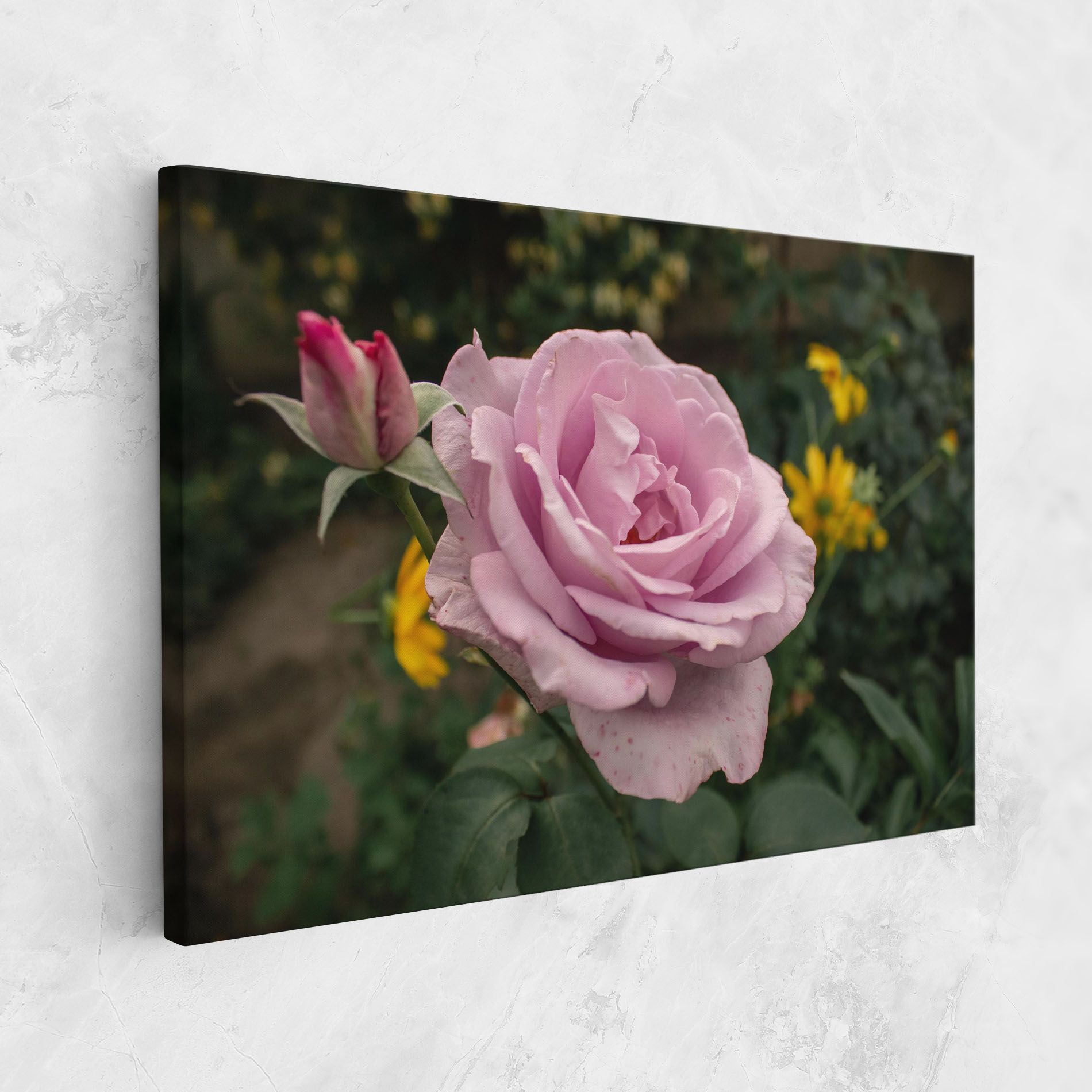 Garden Pink Rose mockup 1
