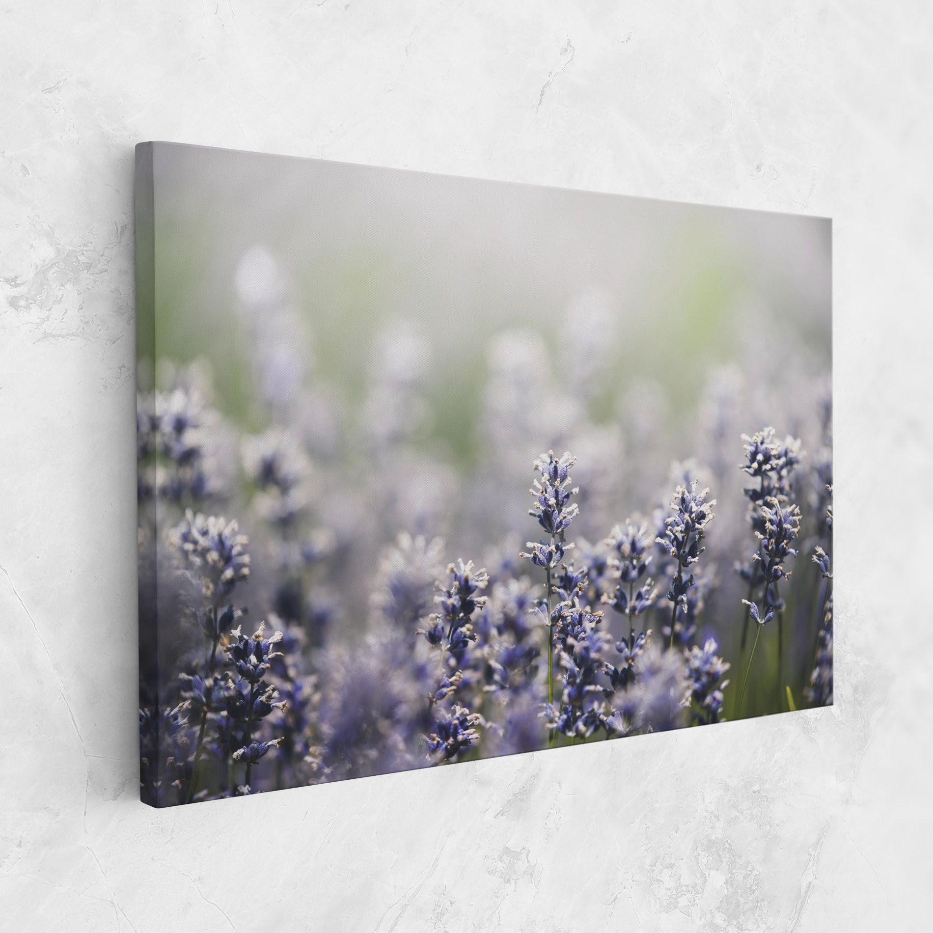 White Purple Wild mockup 1