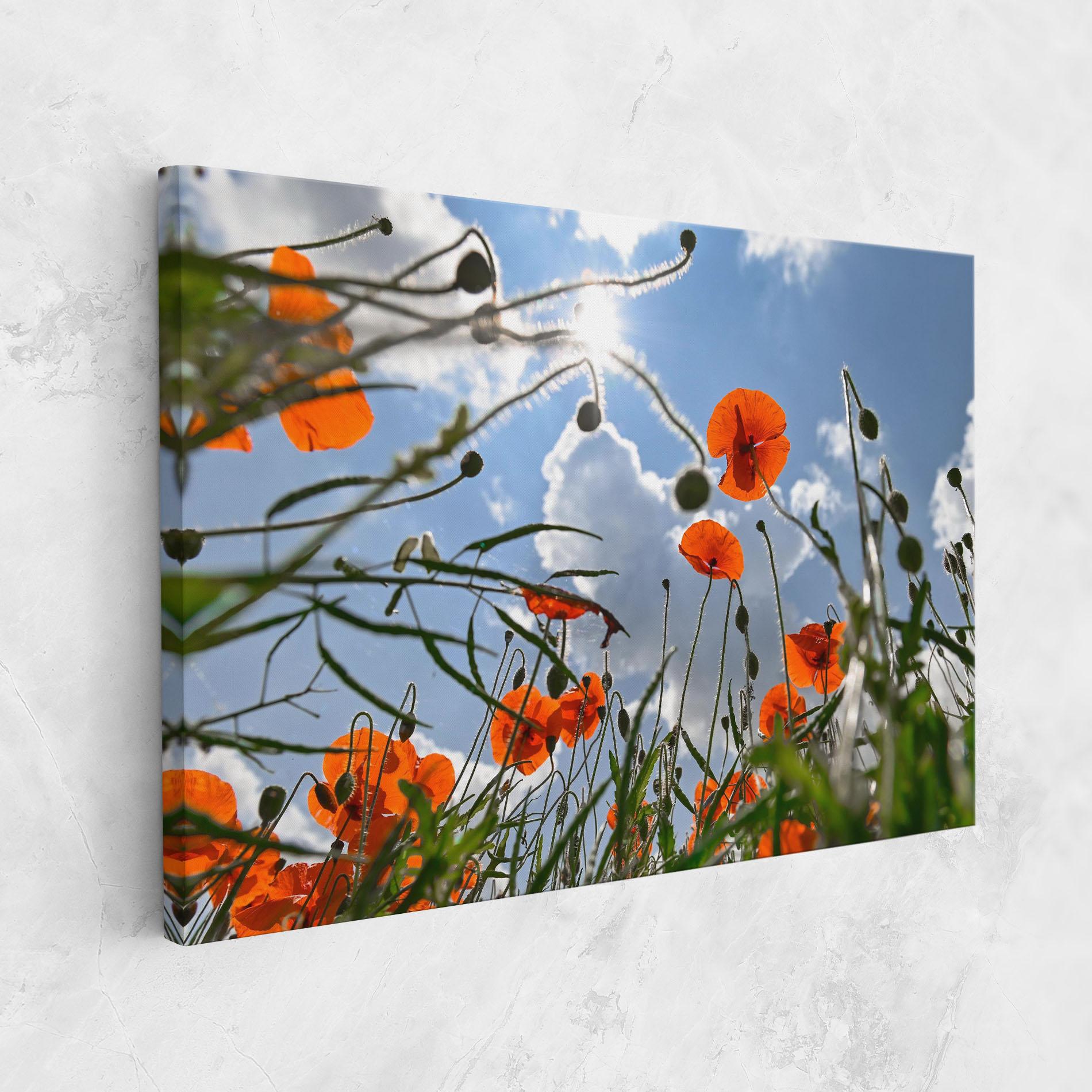 Tablou Canvas Wild Poppy Daylight mockup 1