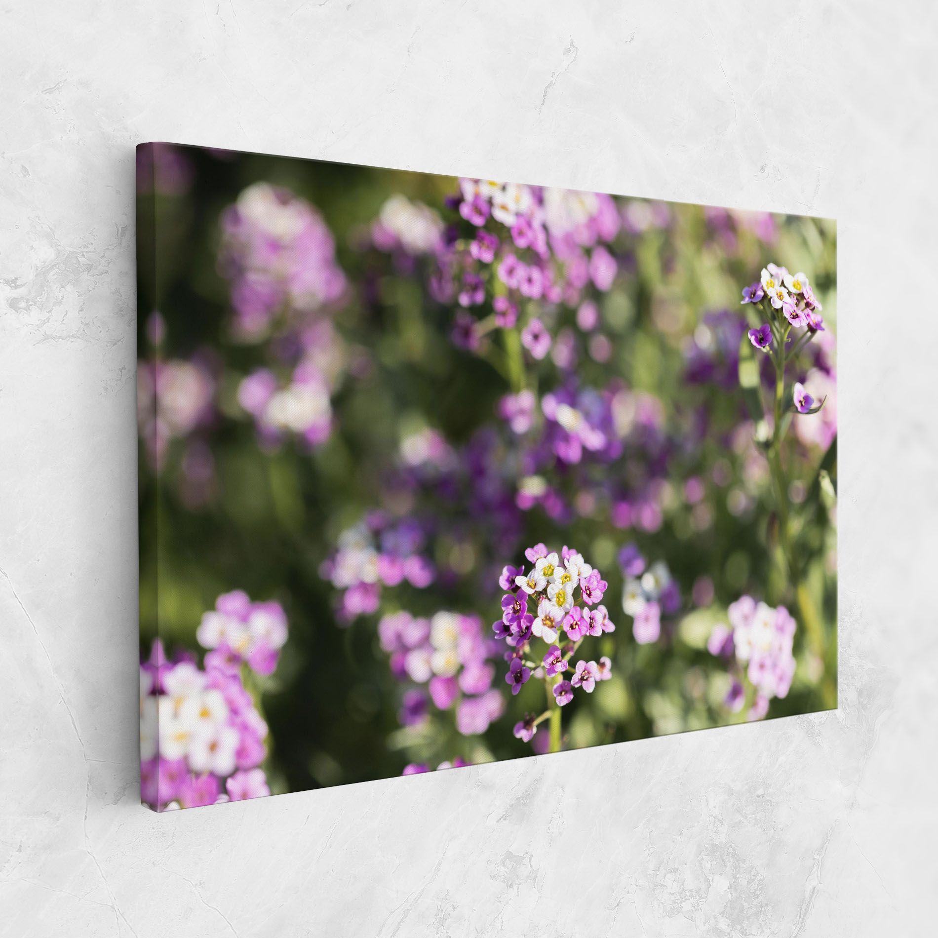 Wild Purple Field mockup 1