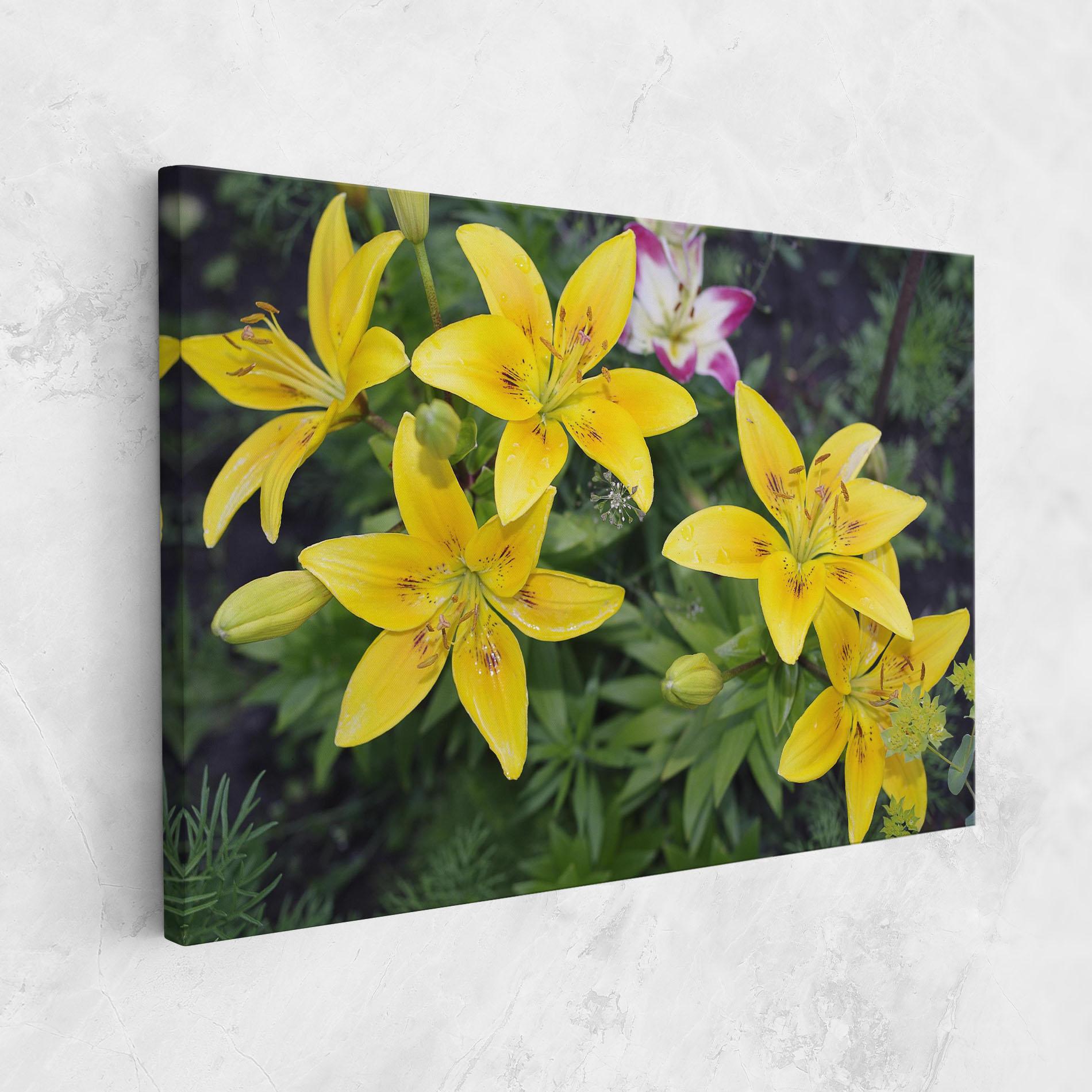 Tablou Canvas Yellow Flowers mockup 1