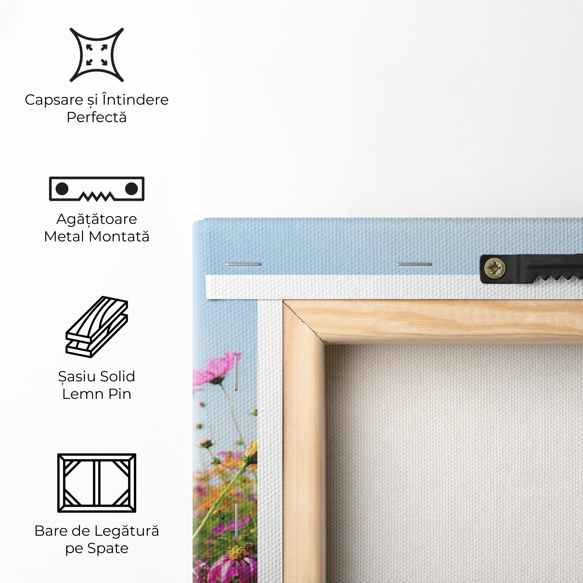 Tablou Canvas Cosmos Field Sunset mockup 5