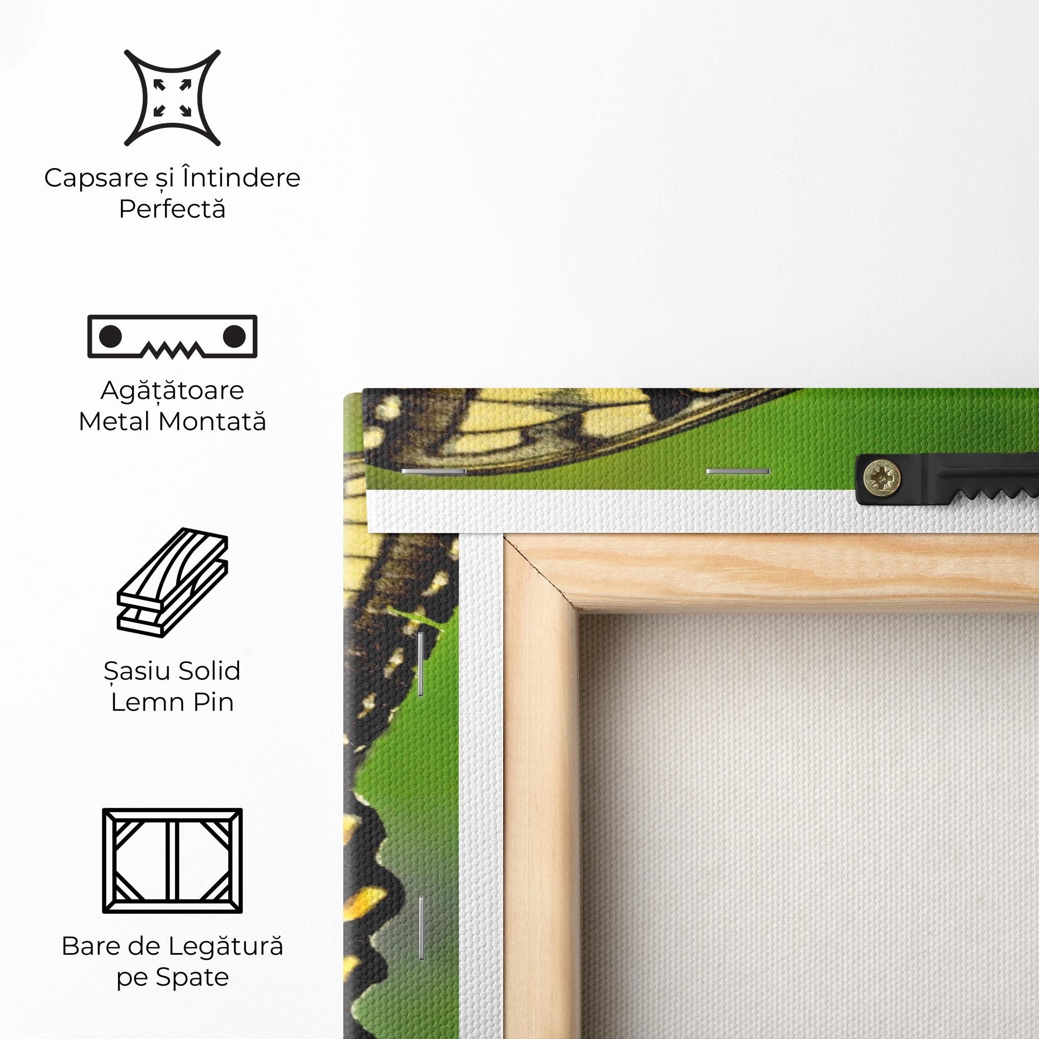 Tablou Canvas Cream Wild Butterfly mockup 5