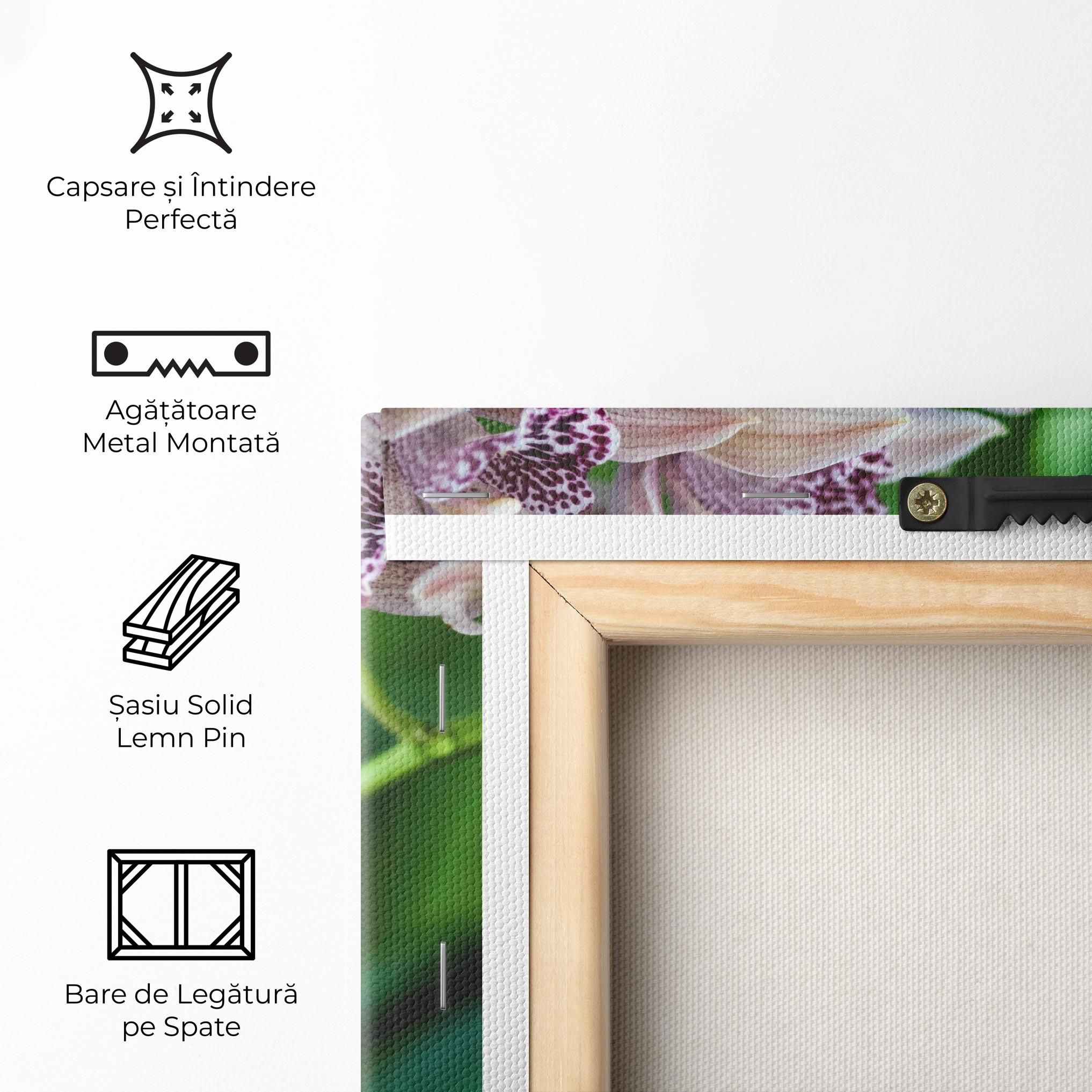 Cymbidium Orchid mockup 5