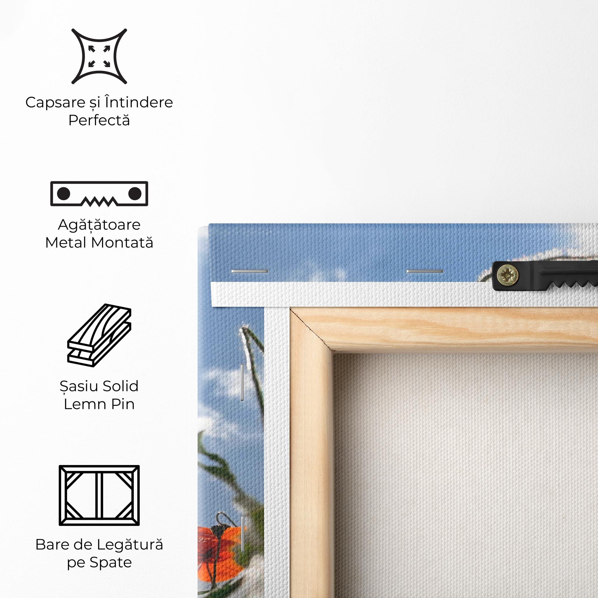 Tablou Canvas Wild Poppy Daylight mockup 5